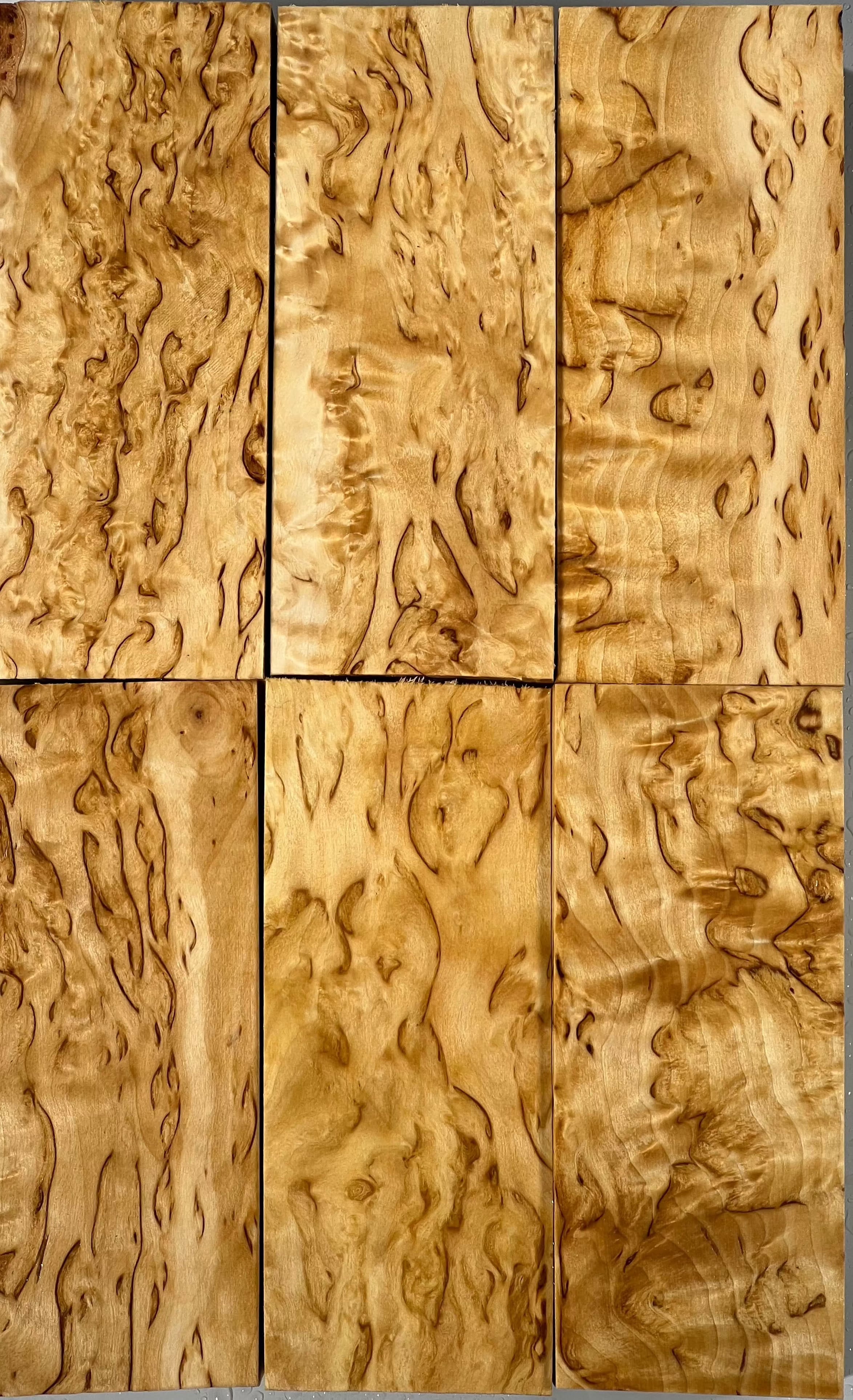 Betulla naturale Masur Betulla mascherata Dimensioni circa 30x50x120mm