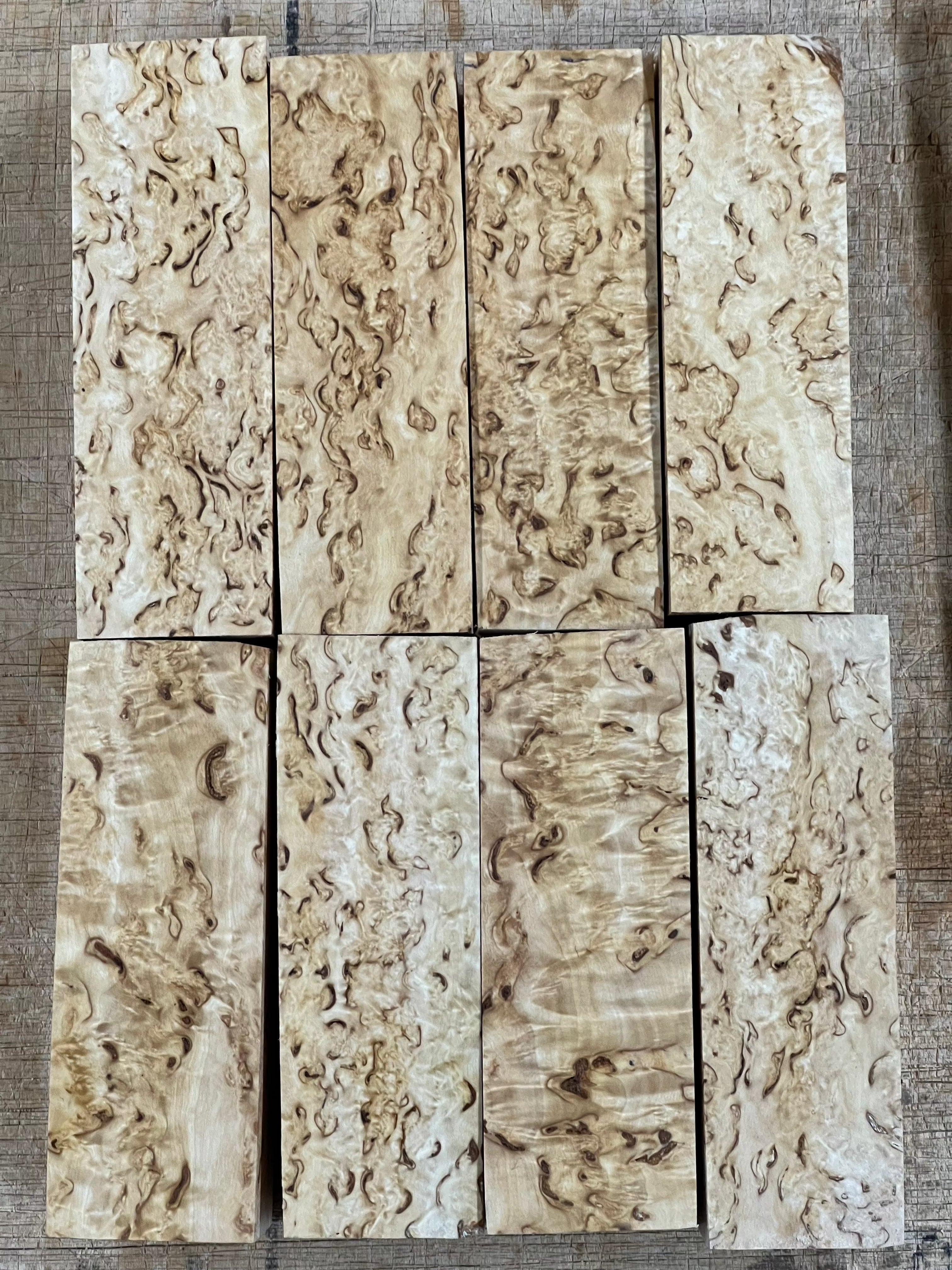 Betulla naturale betulla masur circa 30x40x120