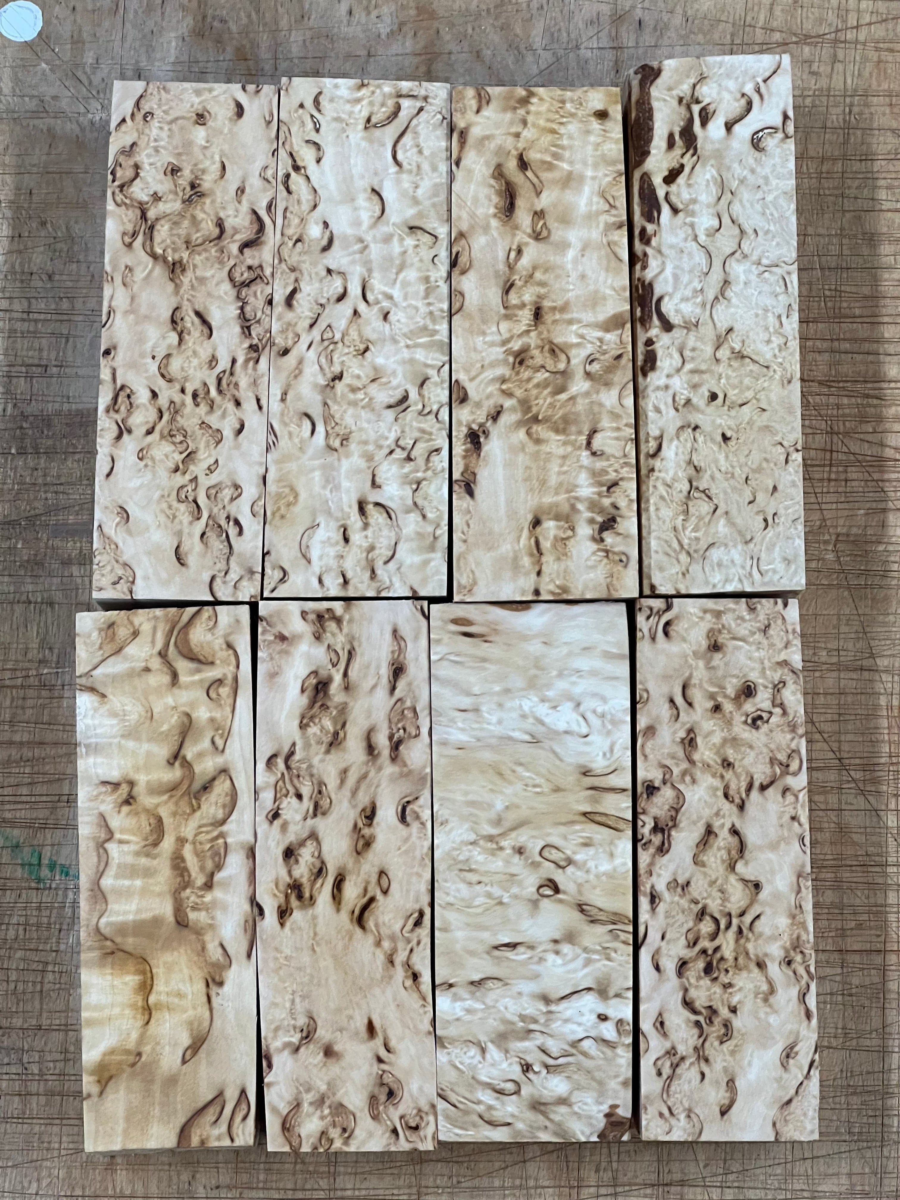 Betulla naturale betulla masur circa 30x40x120