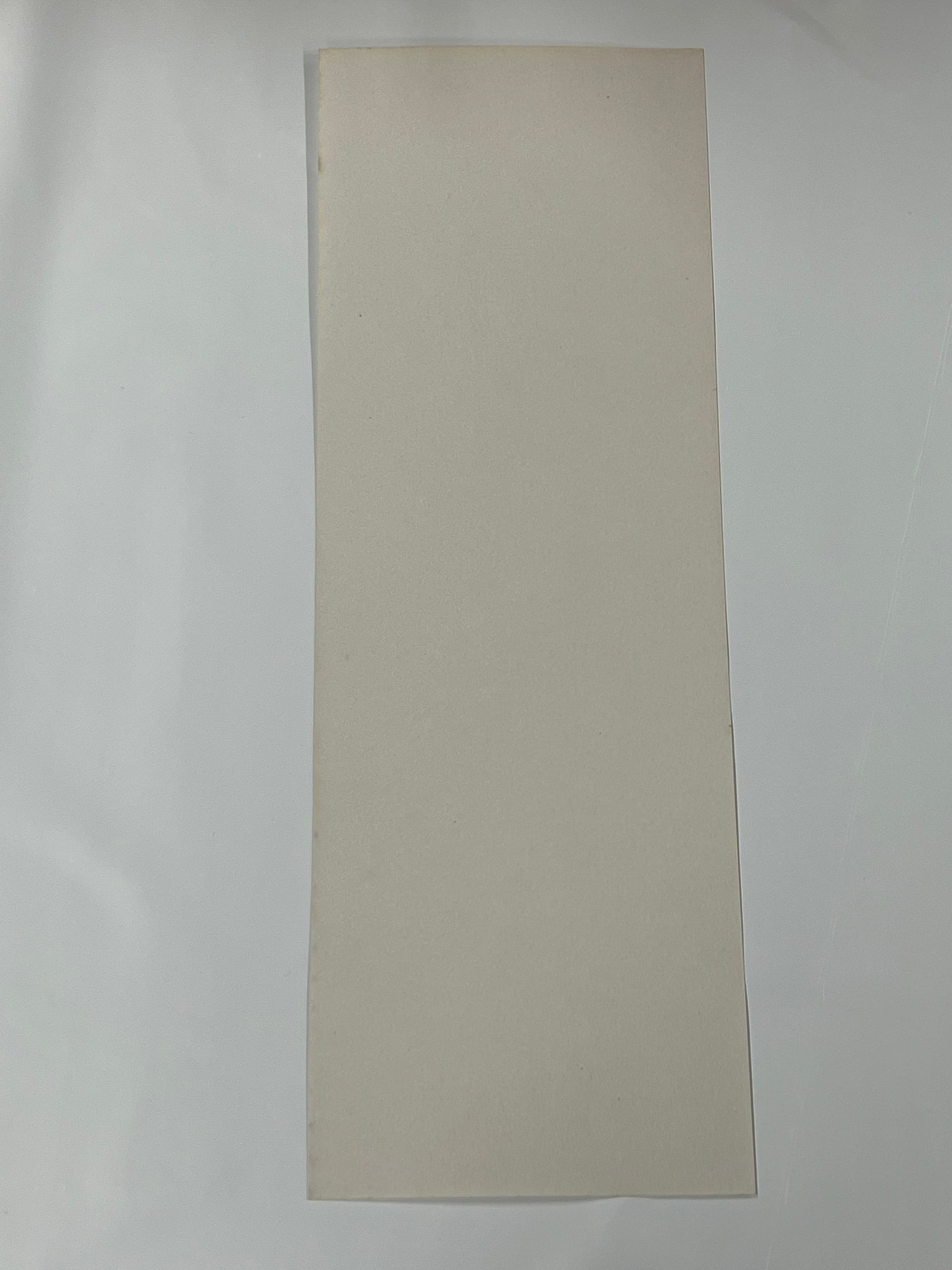 Distanziale (liner) in fibra vulcanizzata