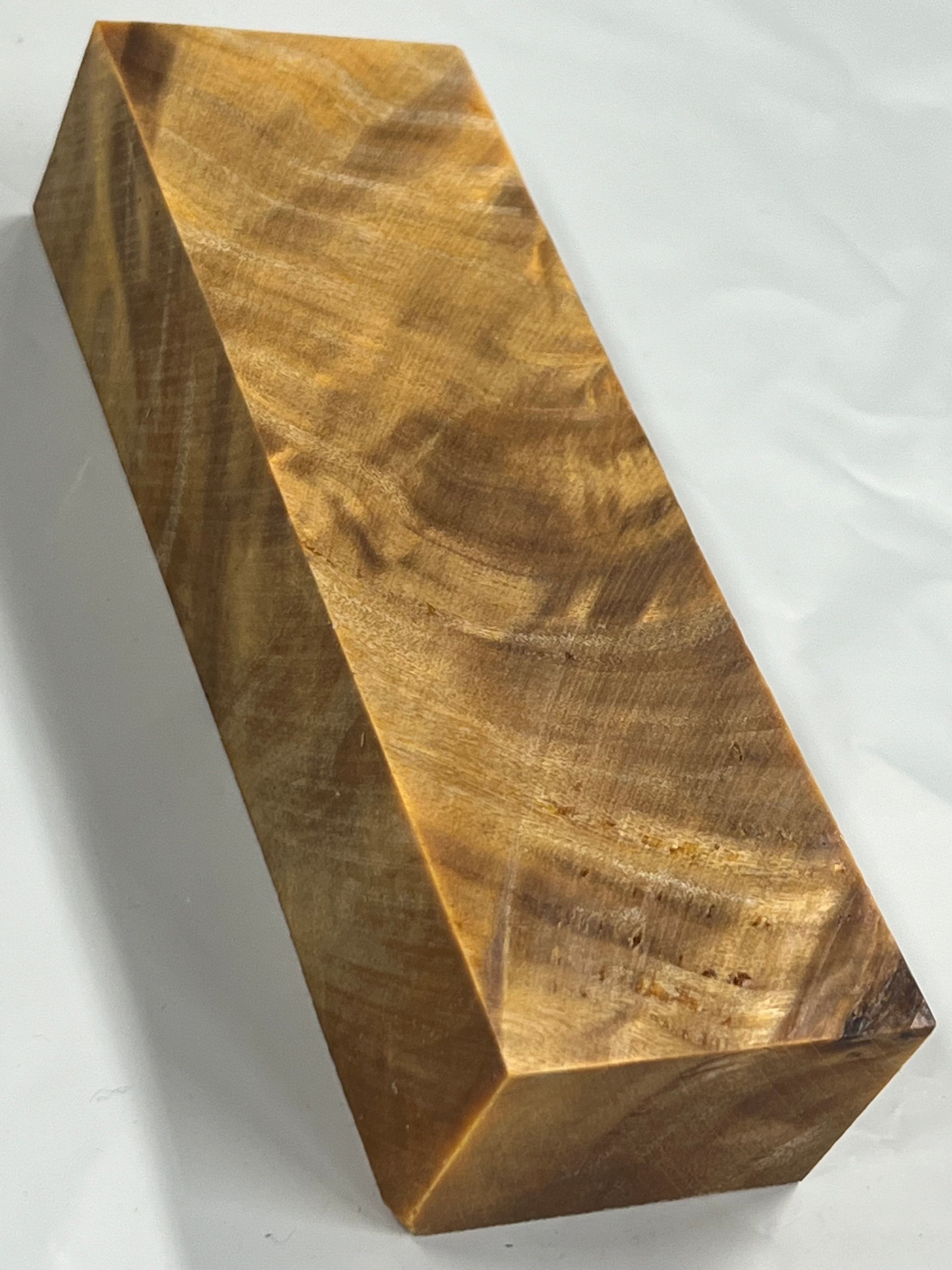 Pioppo tremulo - Arancione
