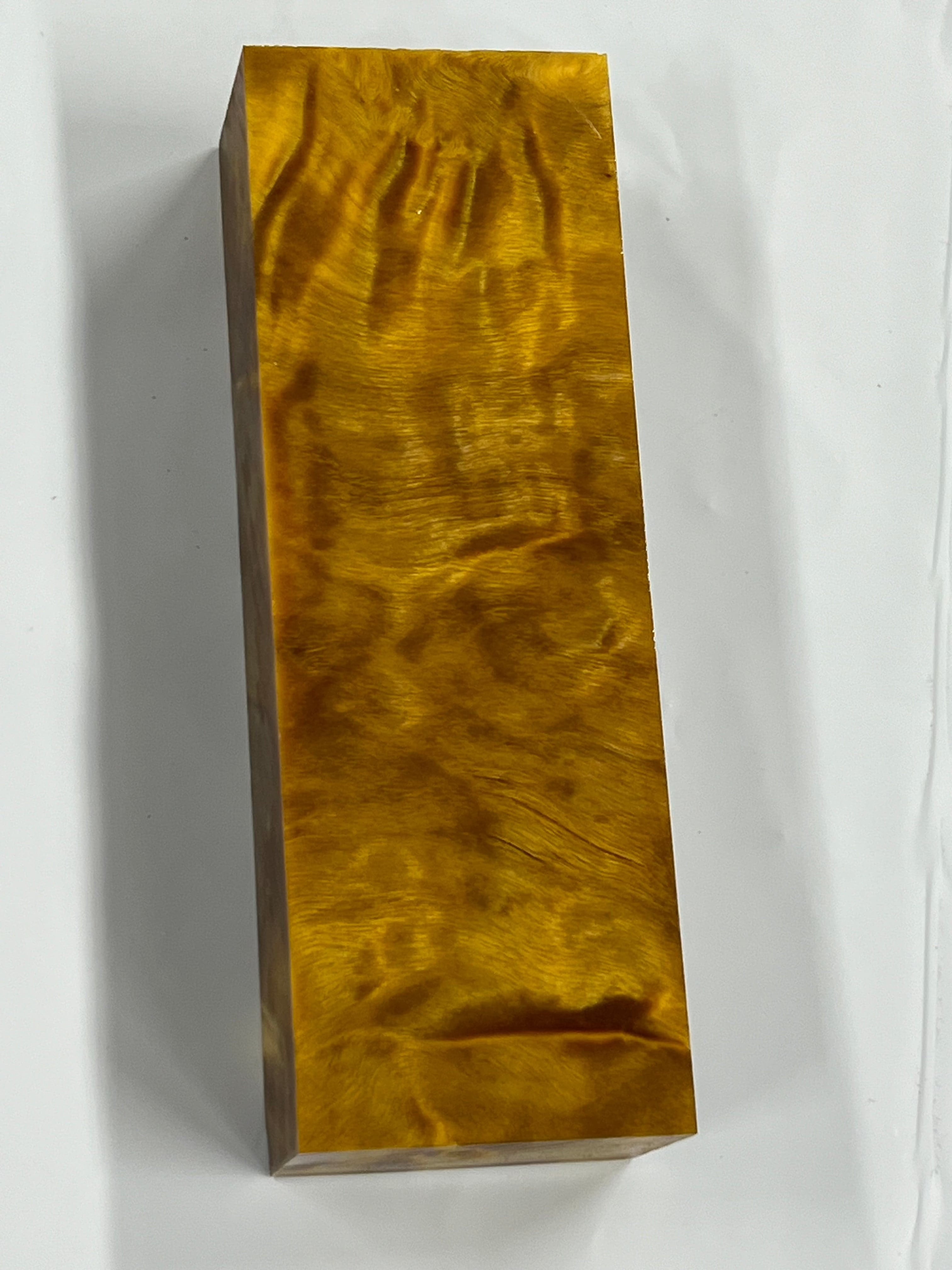 Pioppo tremulo - Giallo