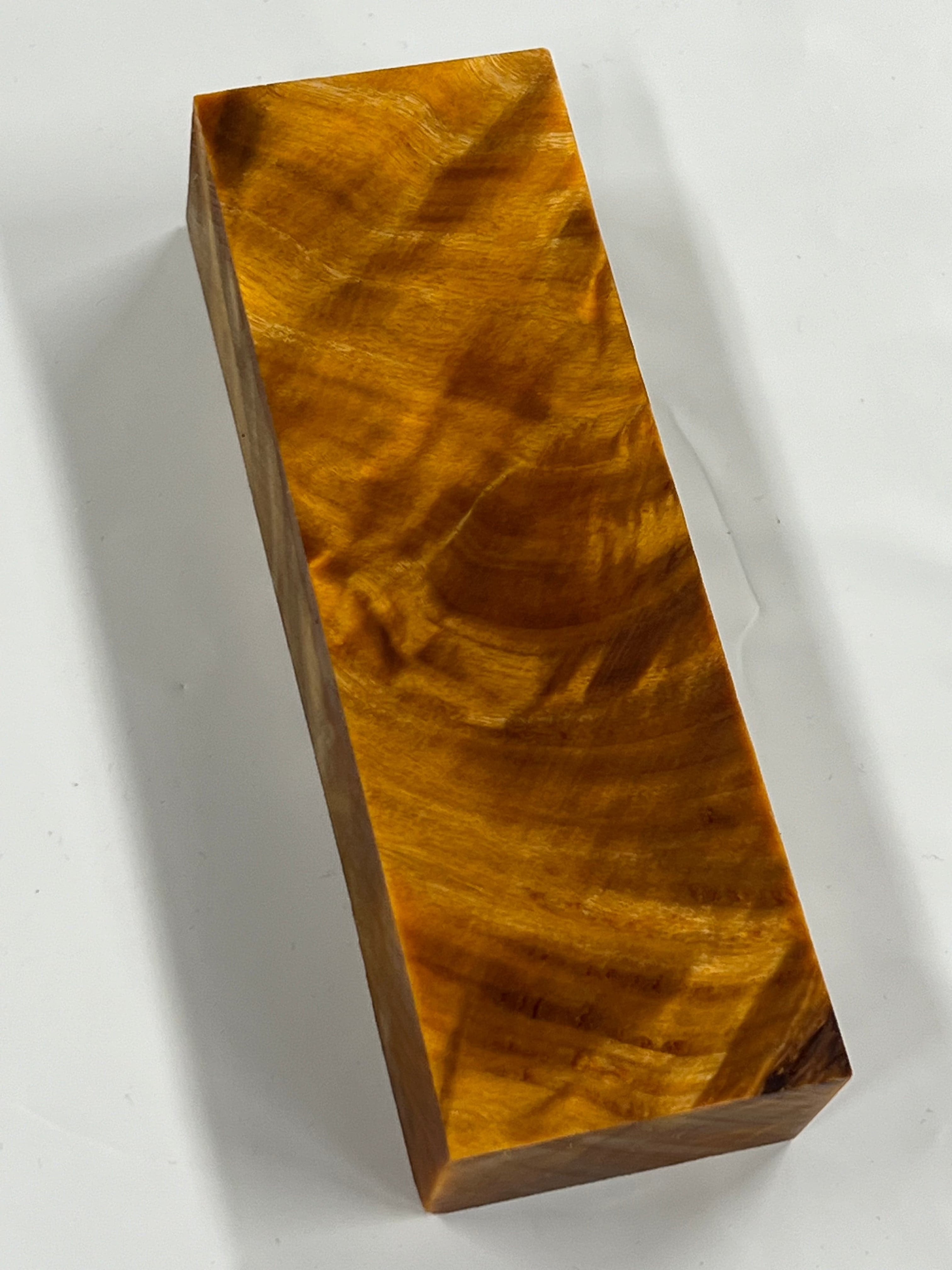 Pioppo tremulo - Arancione