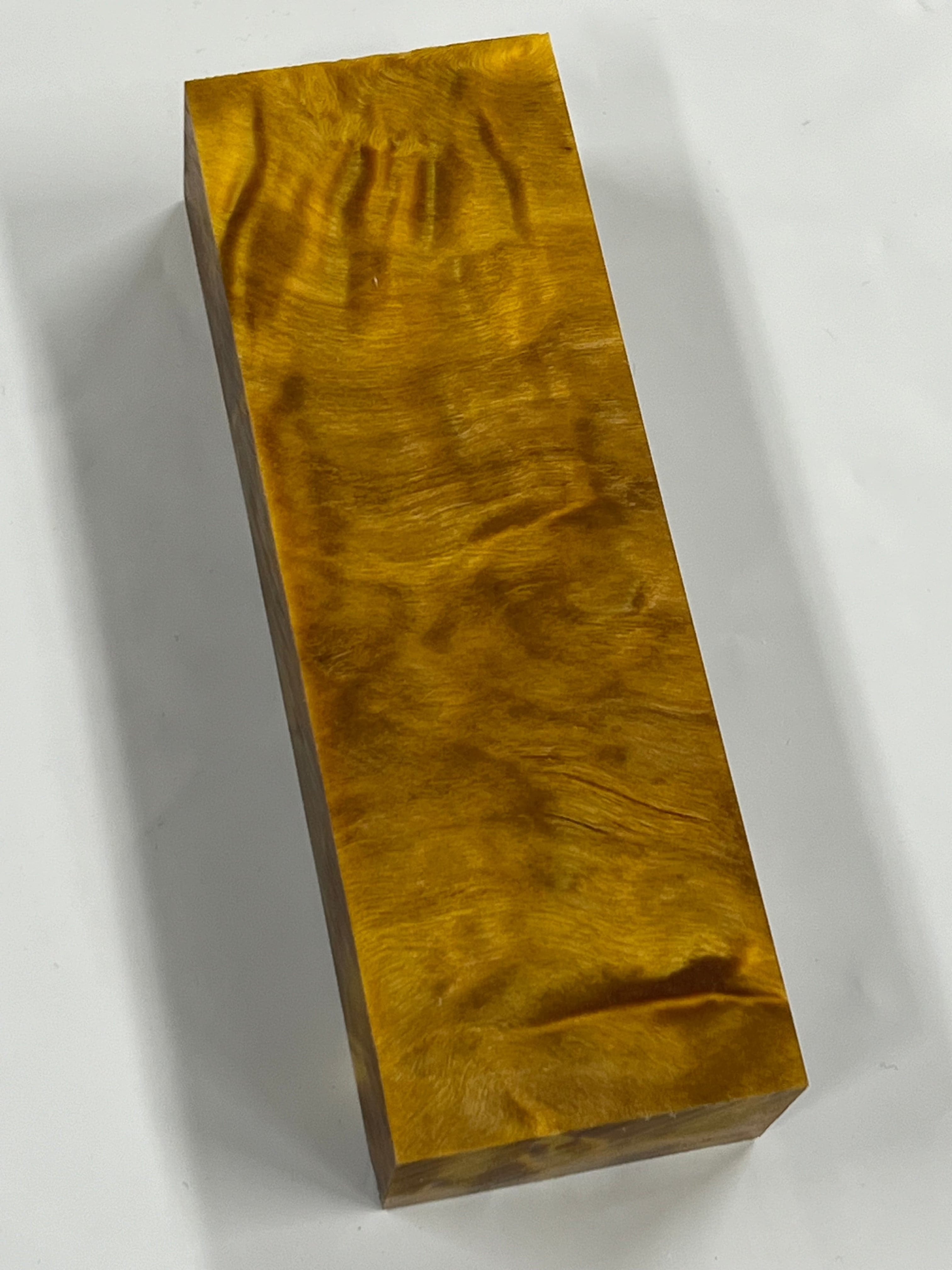 Pioppo tremulo - Giallo