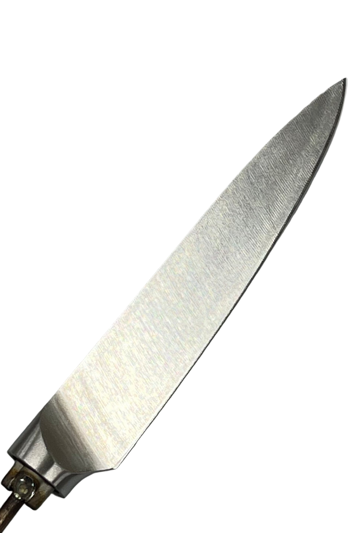 Coltellino da frutta T - Coltello da chef in acciaio inox 5"