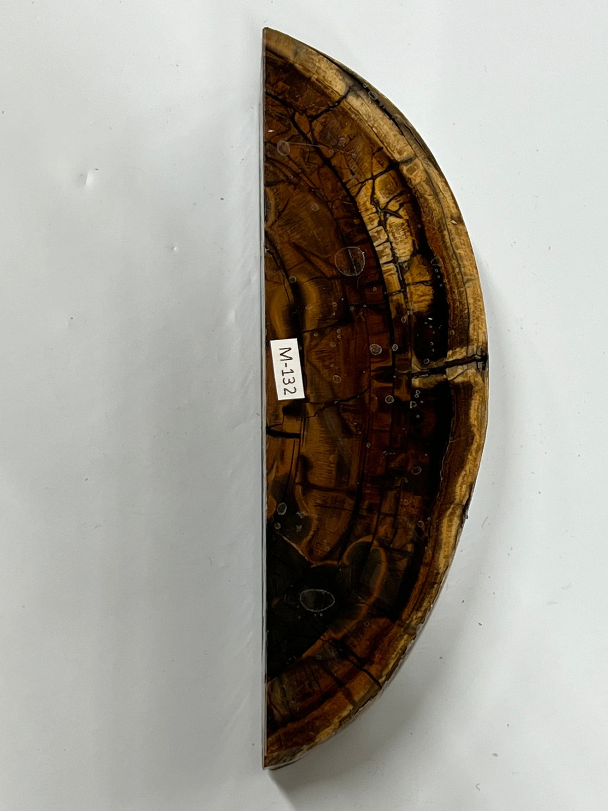 Frammento di zanna di mammut M132