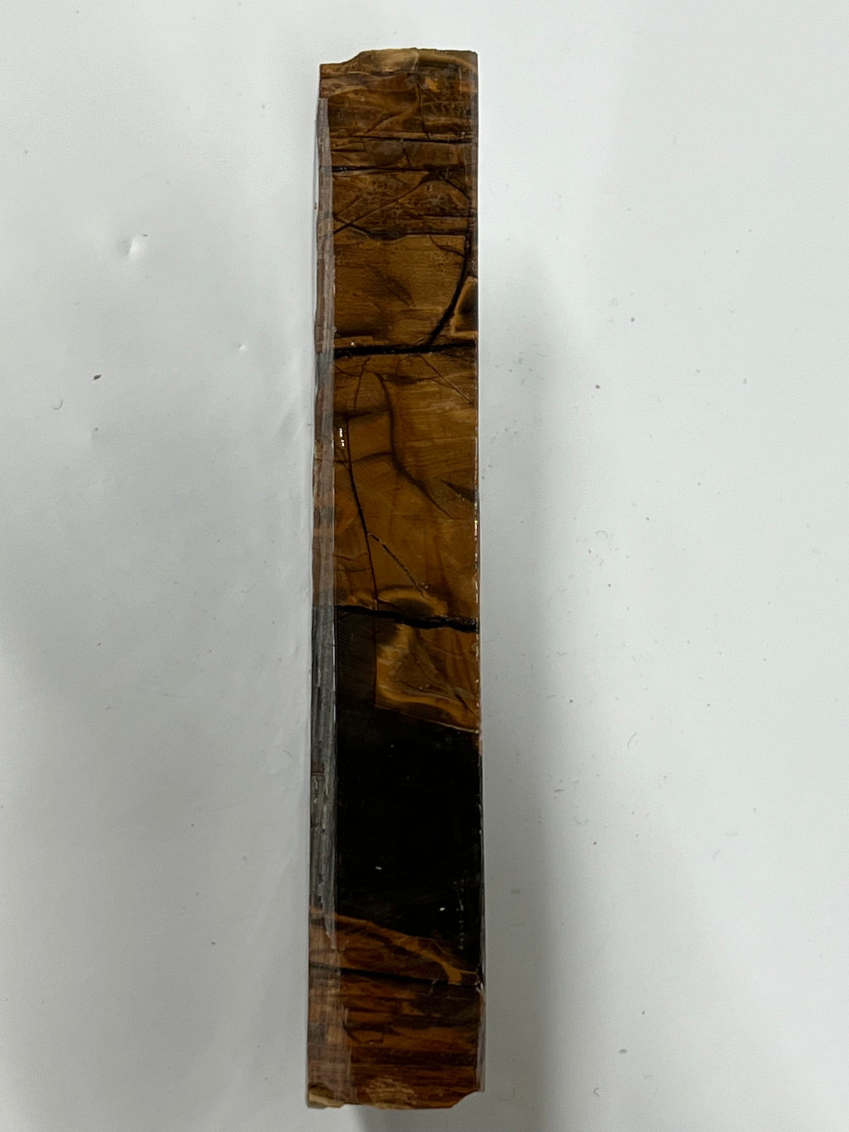 Frammento di zanna di mammut M132
