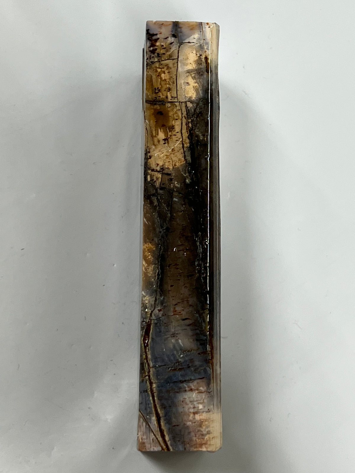 Abbozzo per manico in zanna di mammut M167