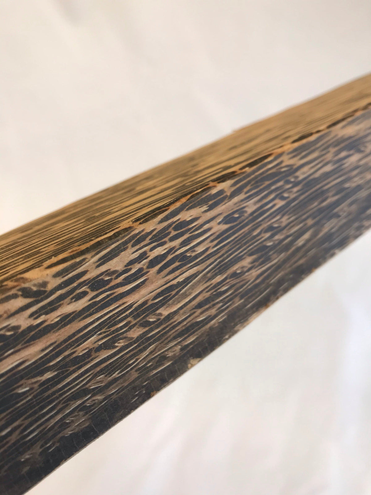 Palma nera 45cm sbozzo per manico