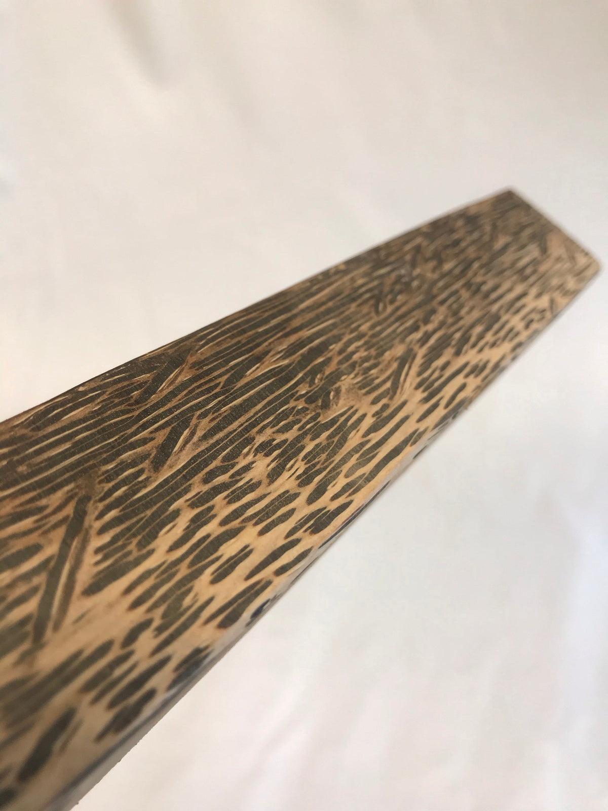 Palma nera 45cm sbozzo per manico