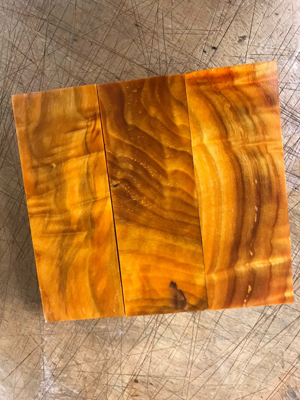 Pioppo tremulo - Arancione