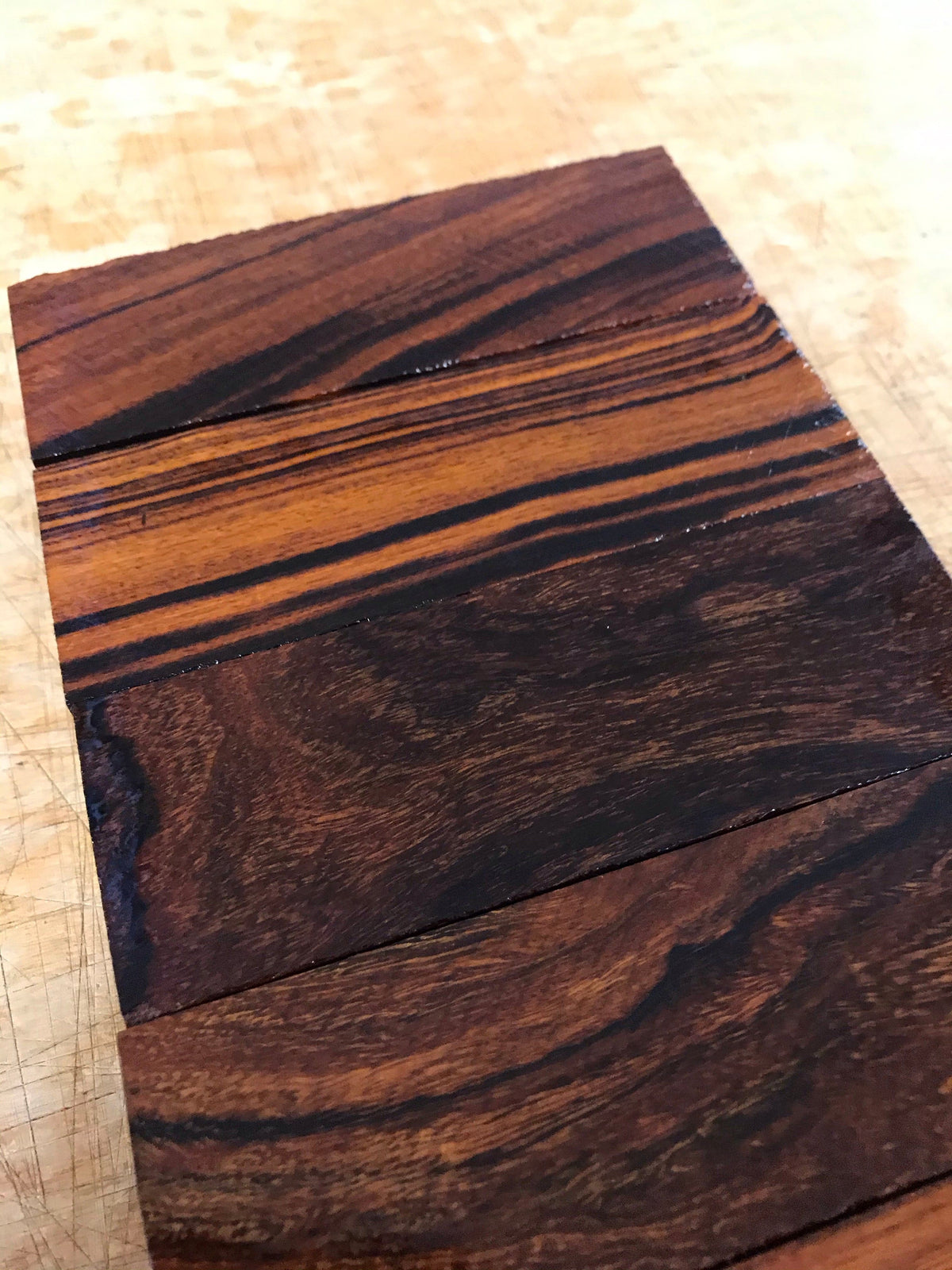 Legno di ferro del deserto