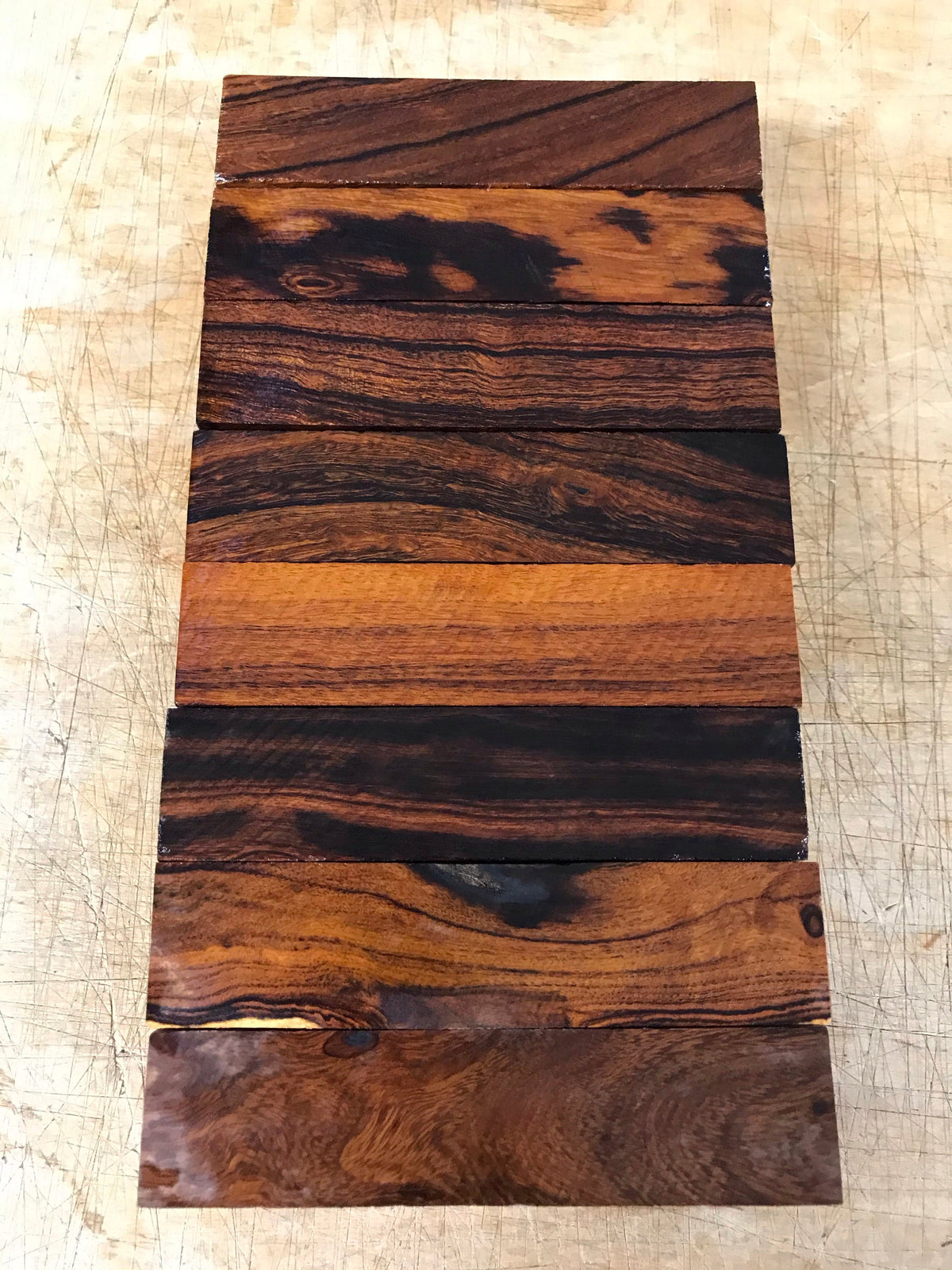 Legno di ferro del deserto