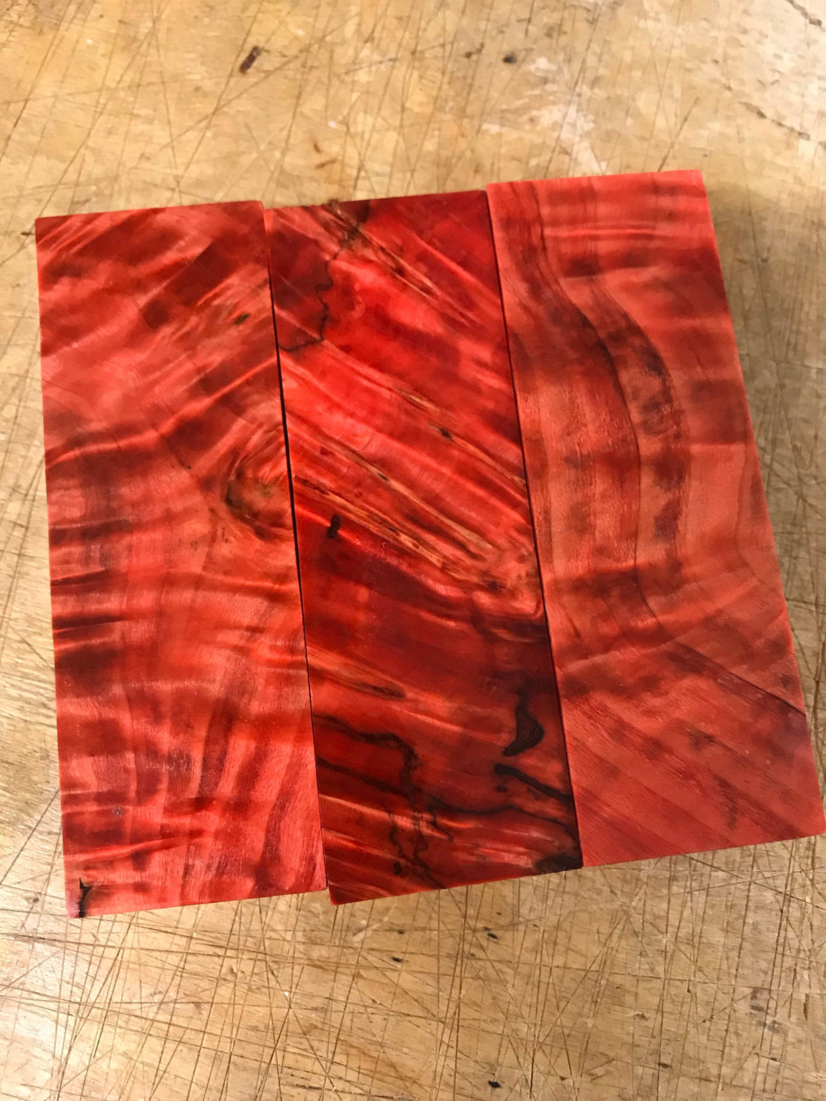 Pioppo tremulo - Rosso