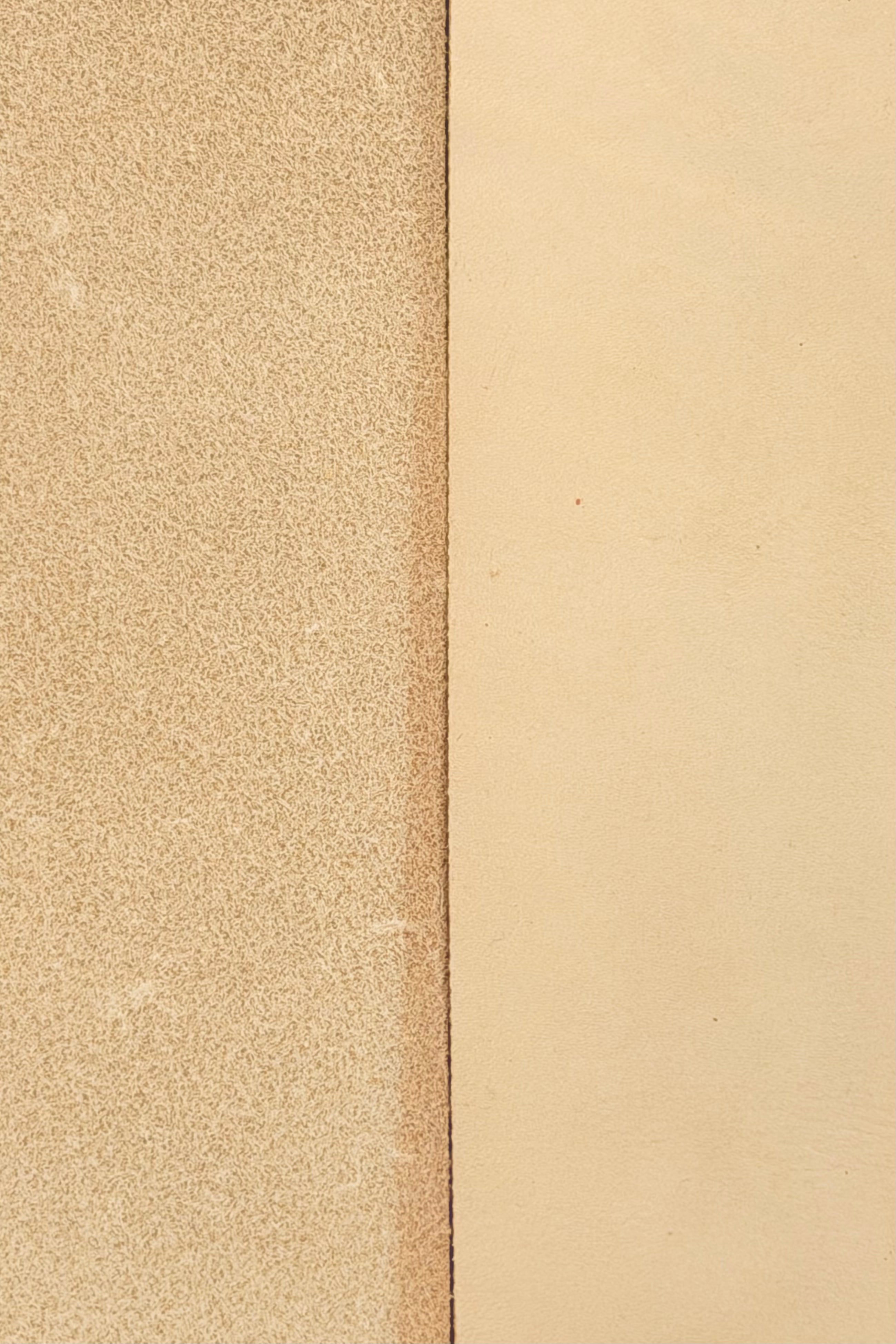 Nastro abrasivo 2x72" (50x1829mm)