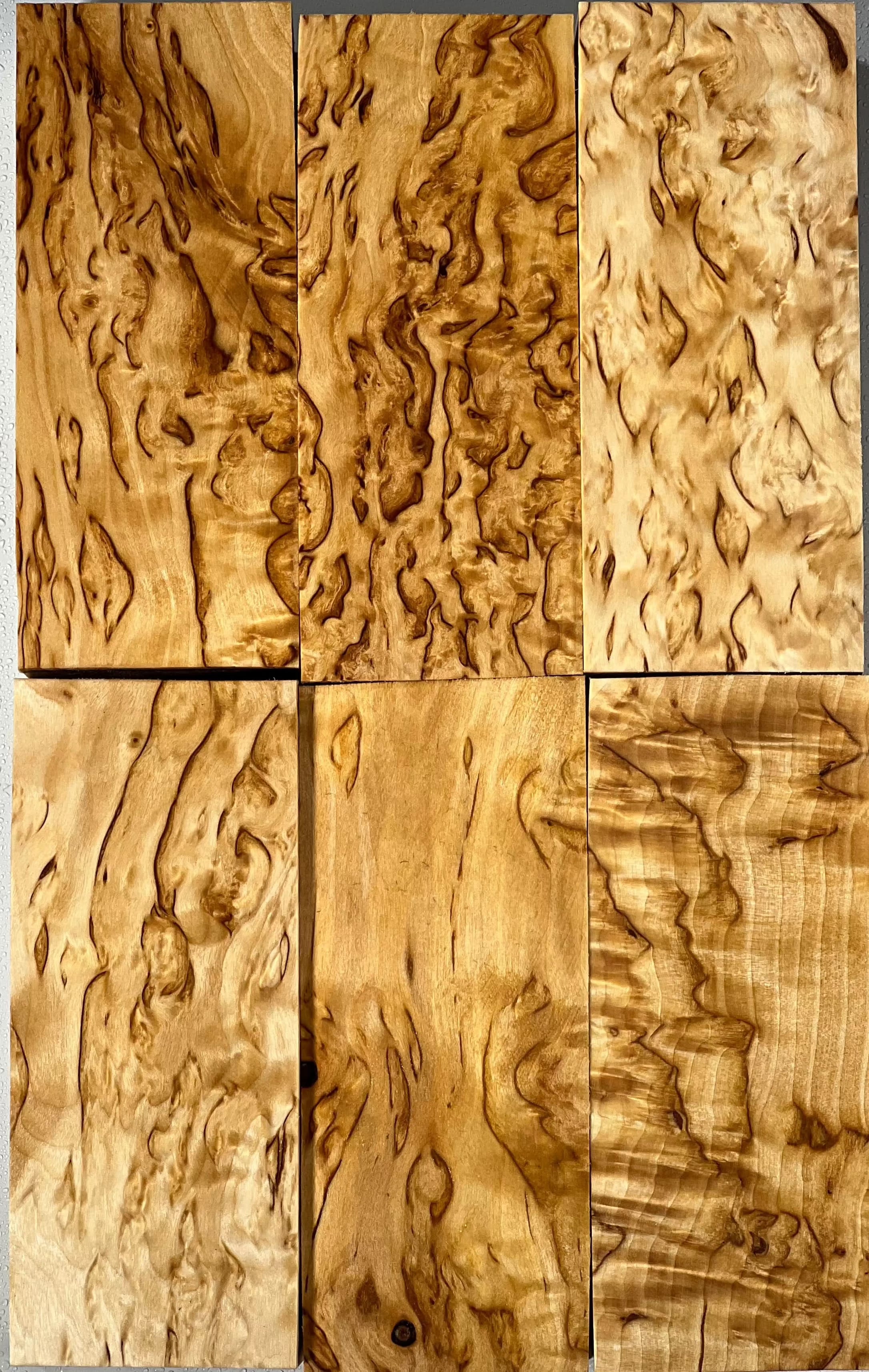Betulla naturale Masur Betulla mascherata Dimensioni circa 30x50x120mm