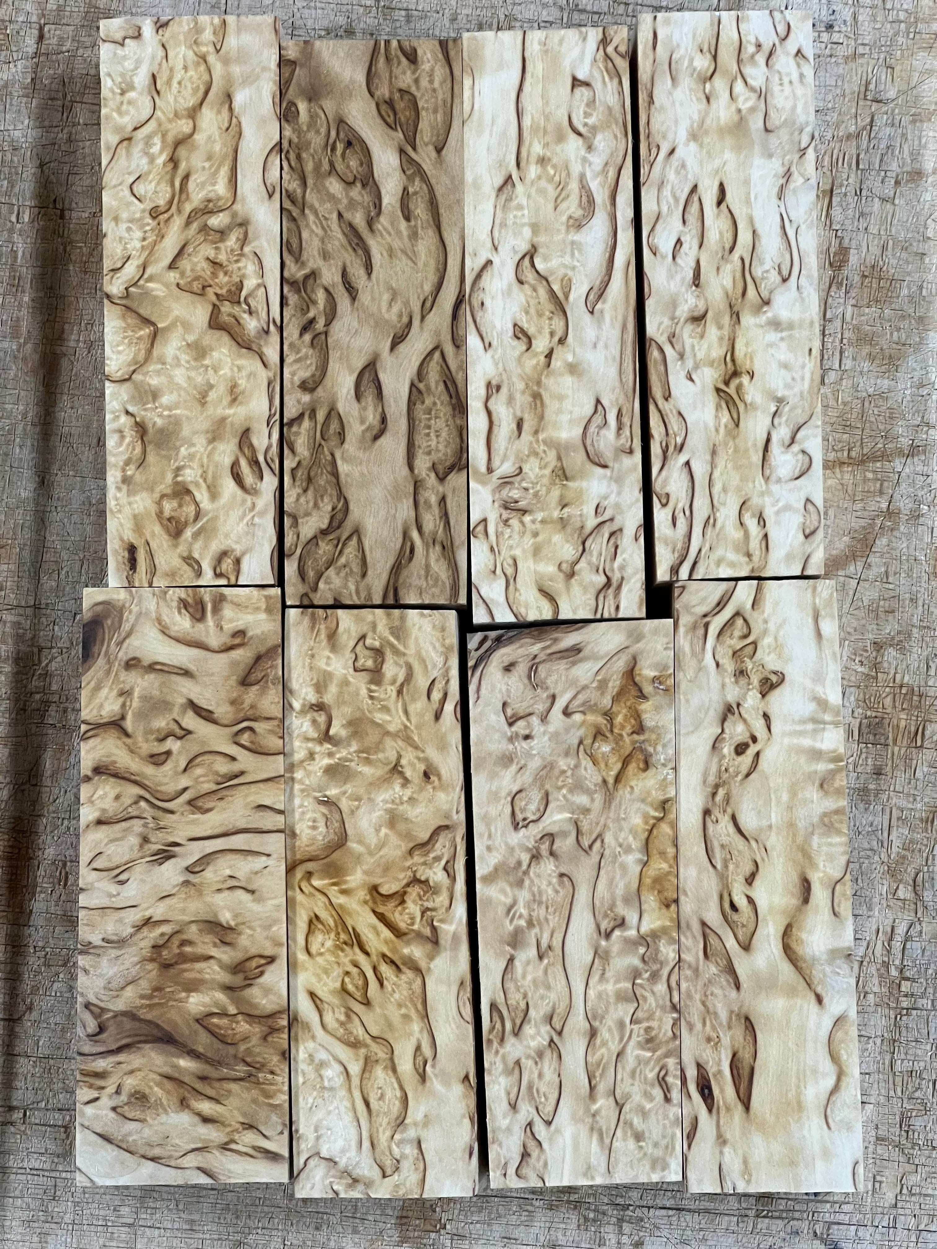 Betulla naturale betulla masur circa 30x40x120