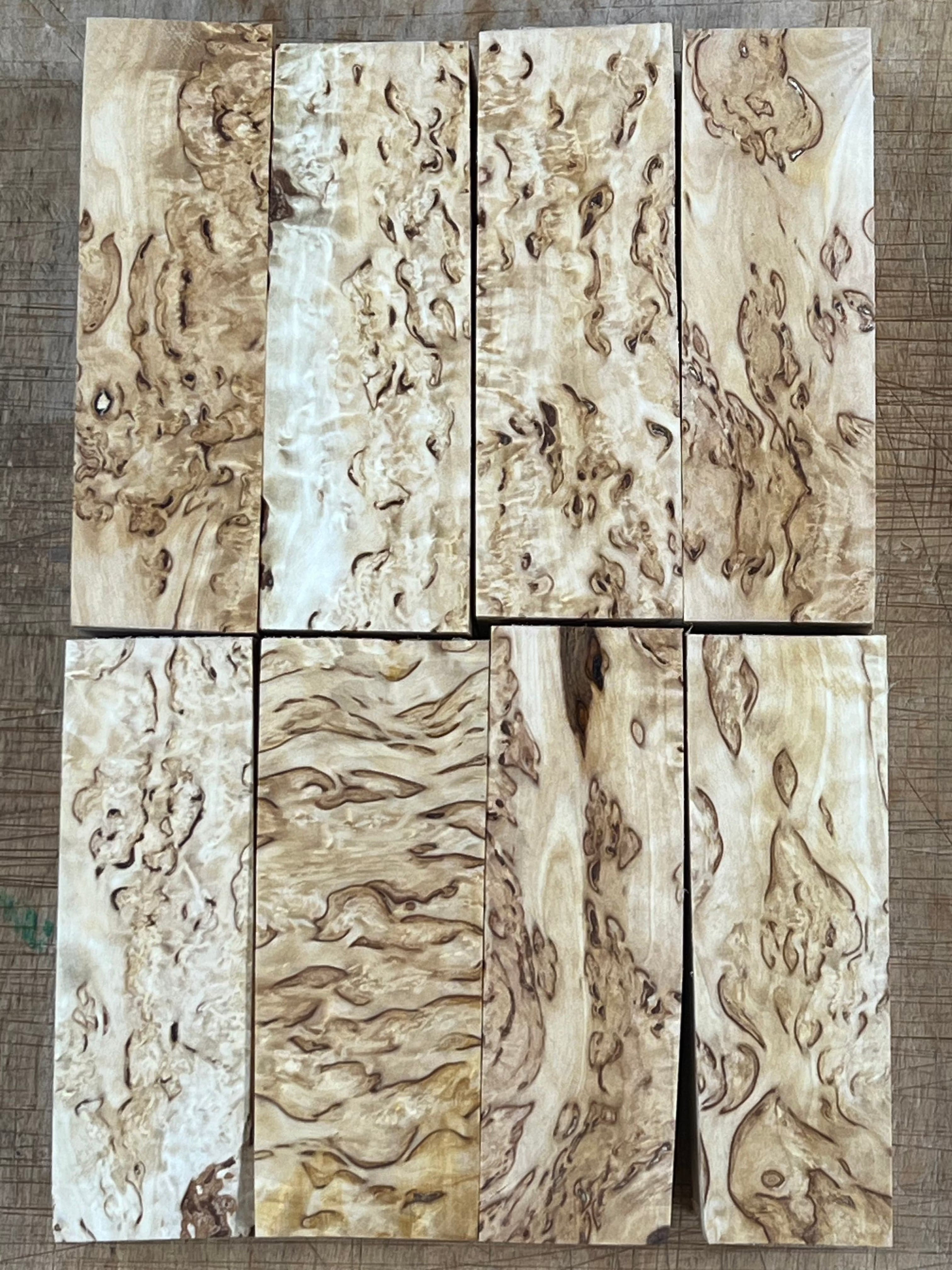 Betulla naturale betulla masur circa 30x40x120