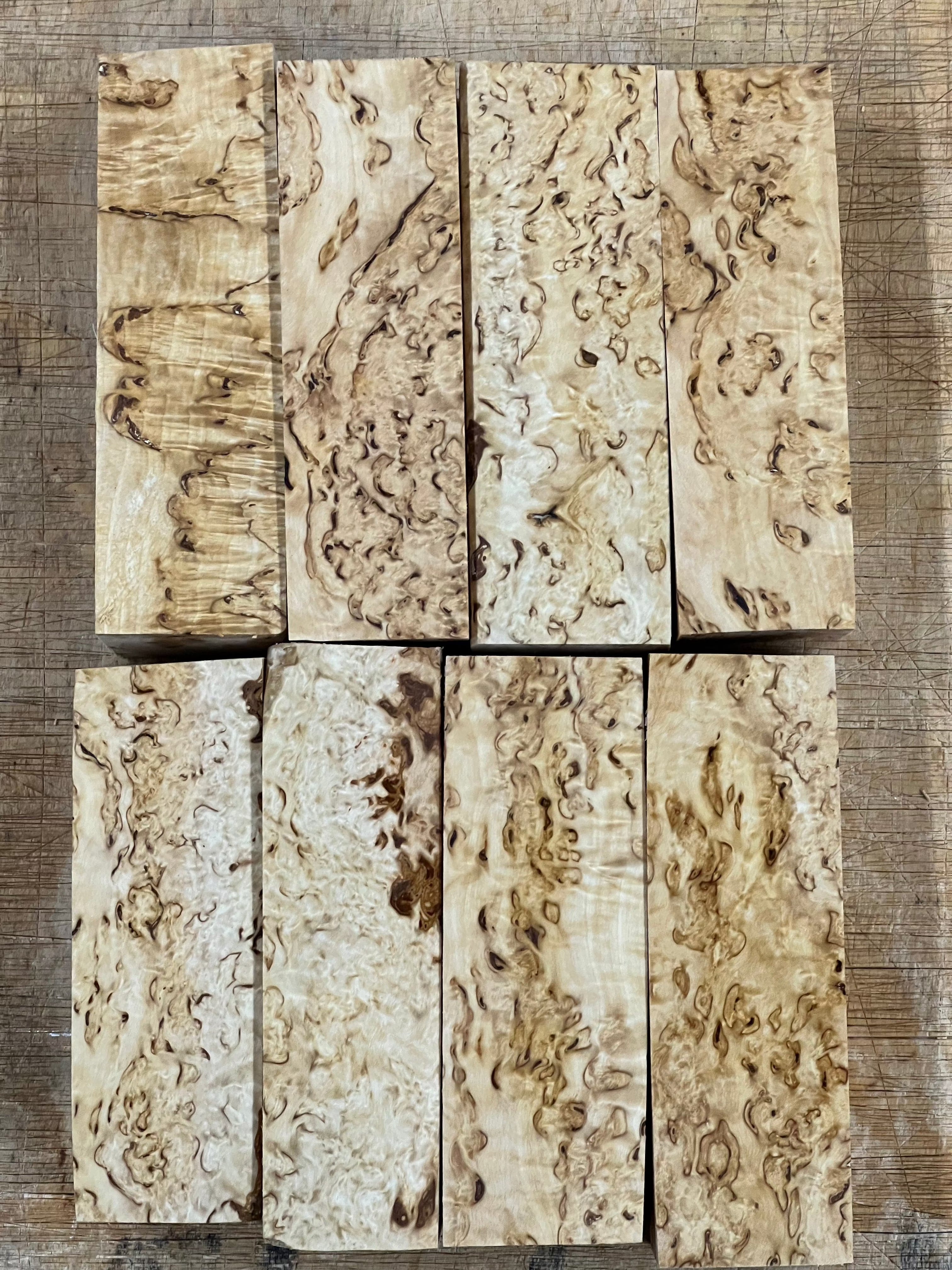 Betulla naturale betulla masur circa 30x40x120