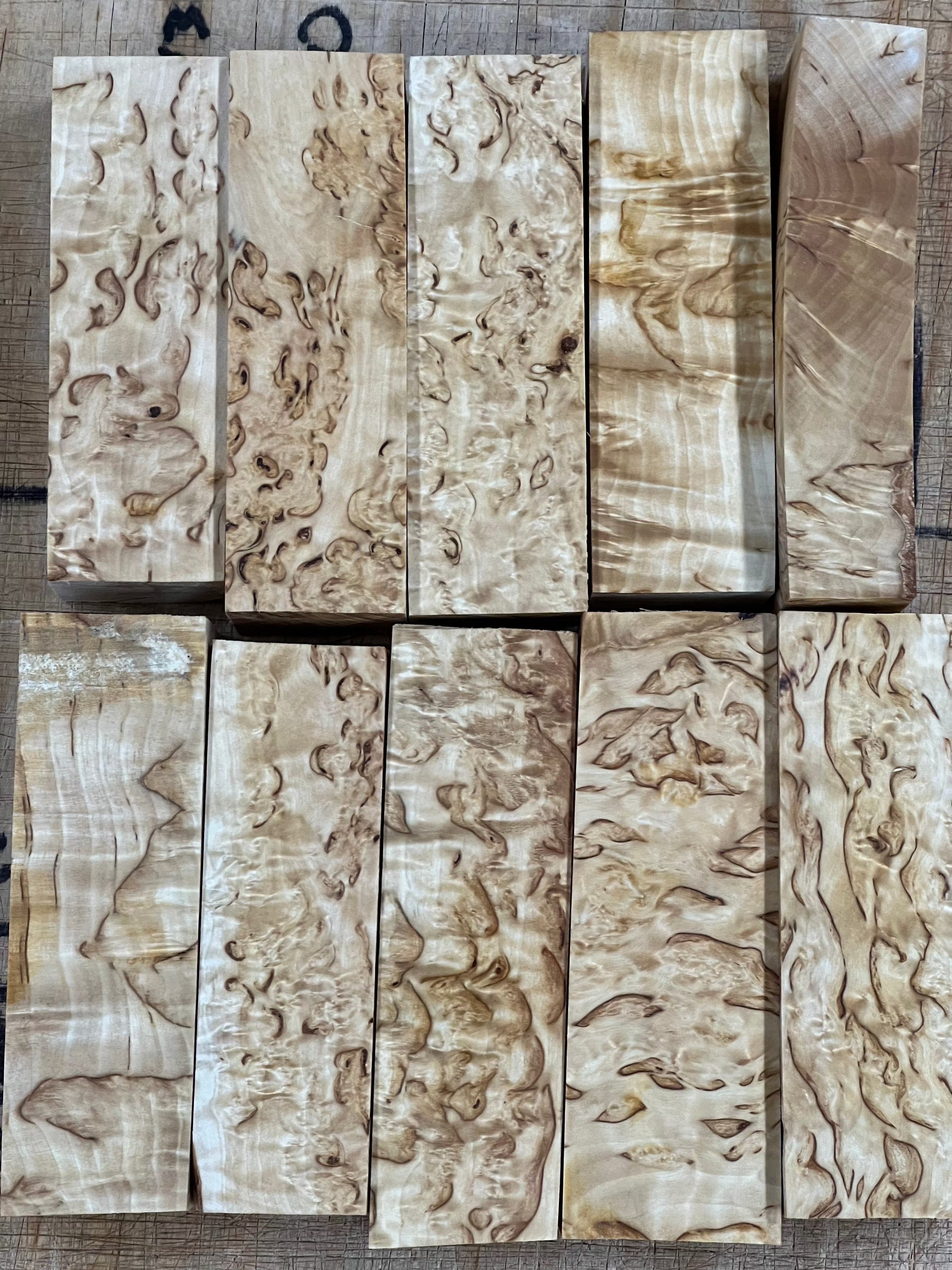 Betulla naturale betulla masur circa 30x40x120