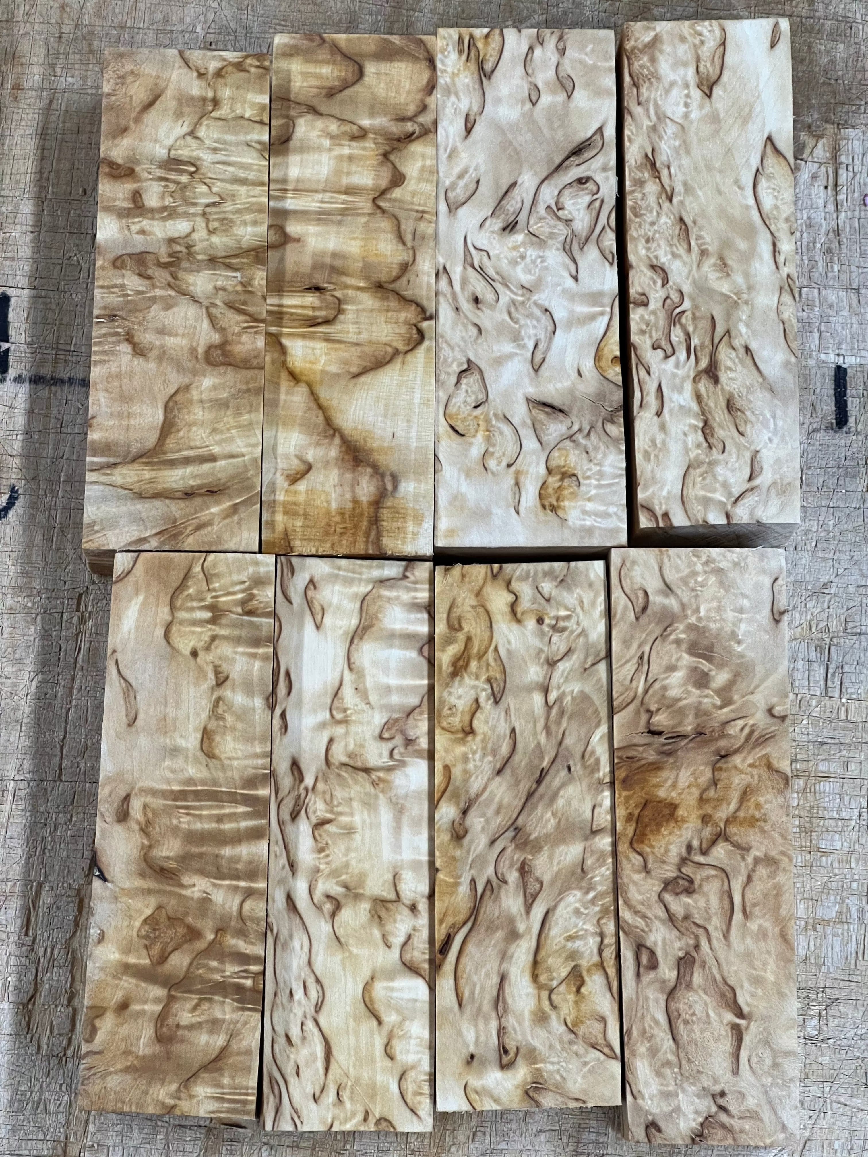 Betulla naturale betulla masur circa 30x40x120