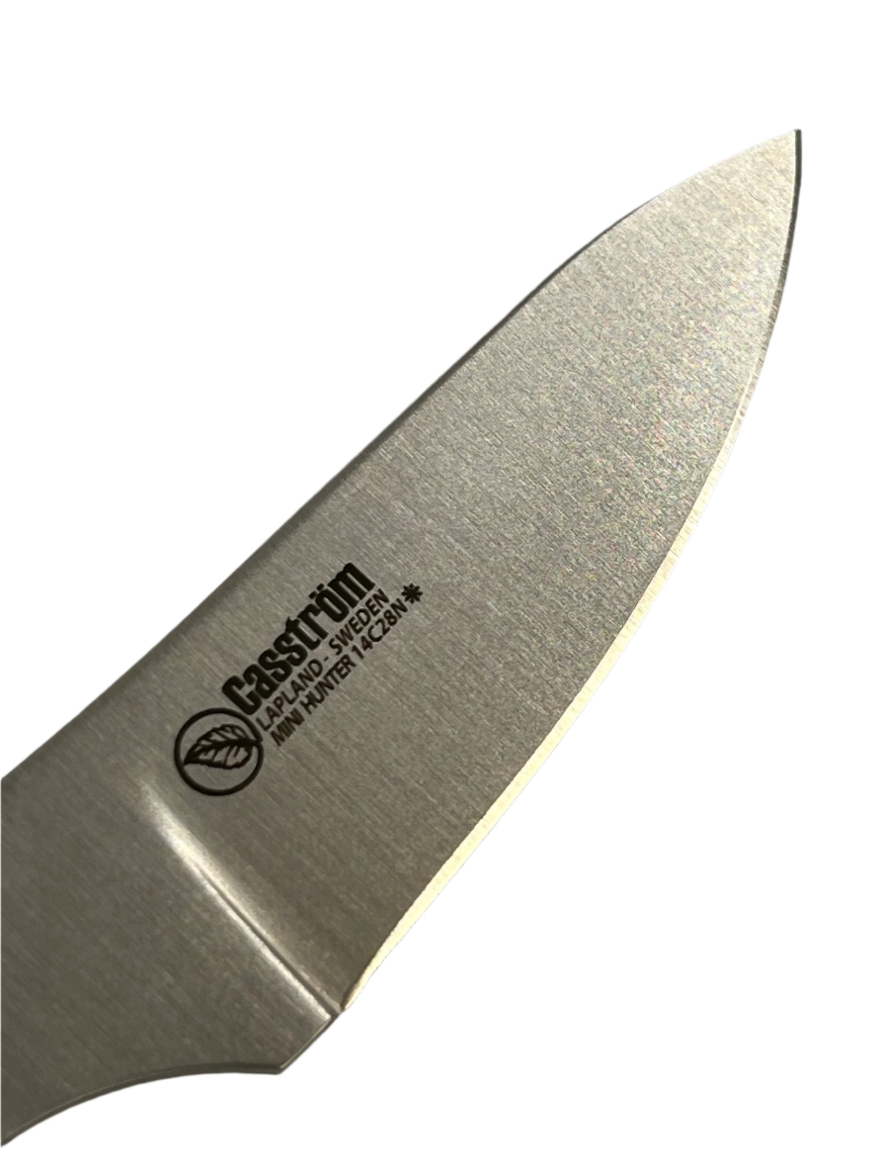 Lama per coltello Casström Safari Mini Hunter 60 mm