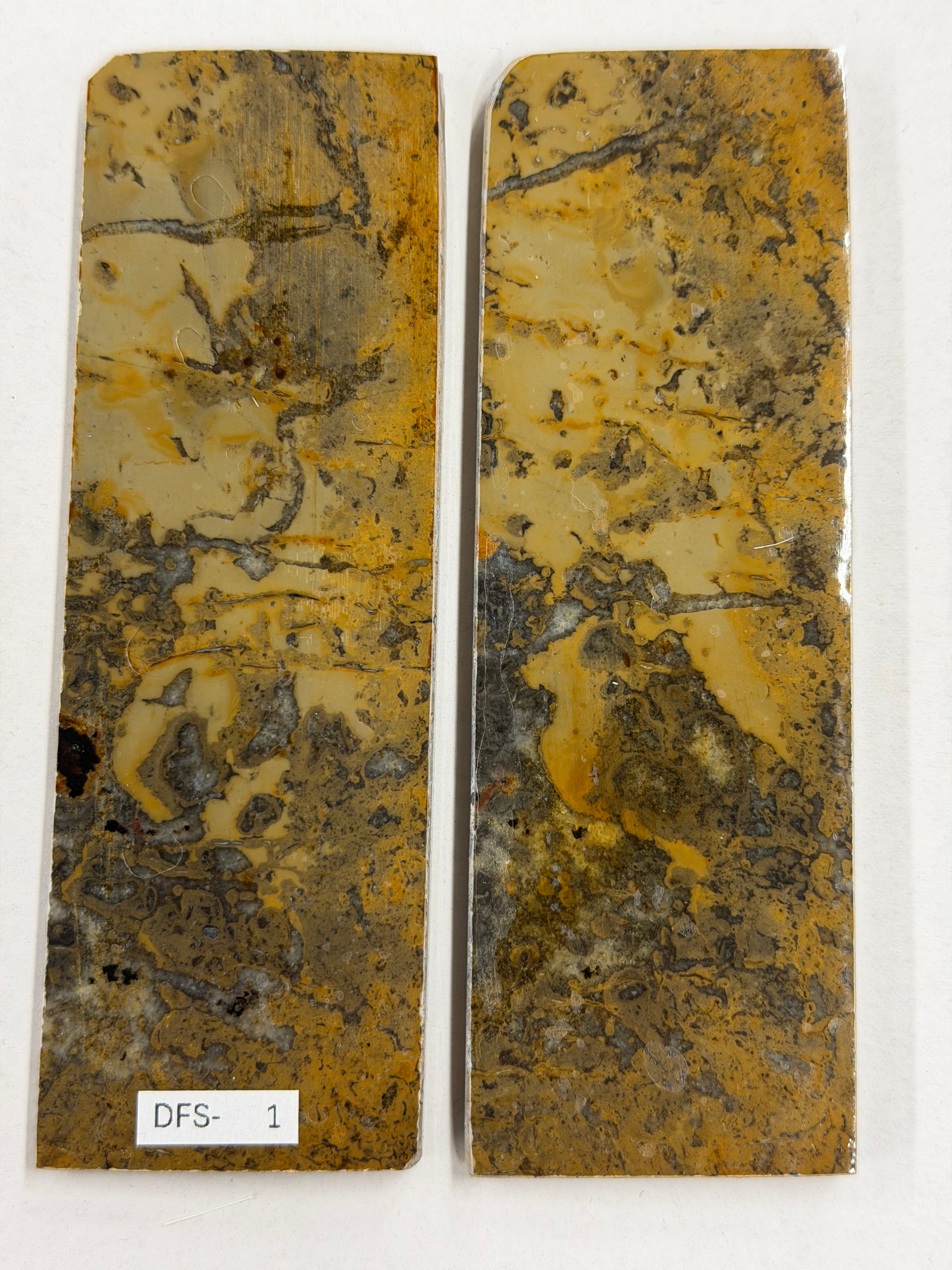 Sett piastre per manico fossile di dinosauro DFS-1