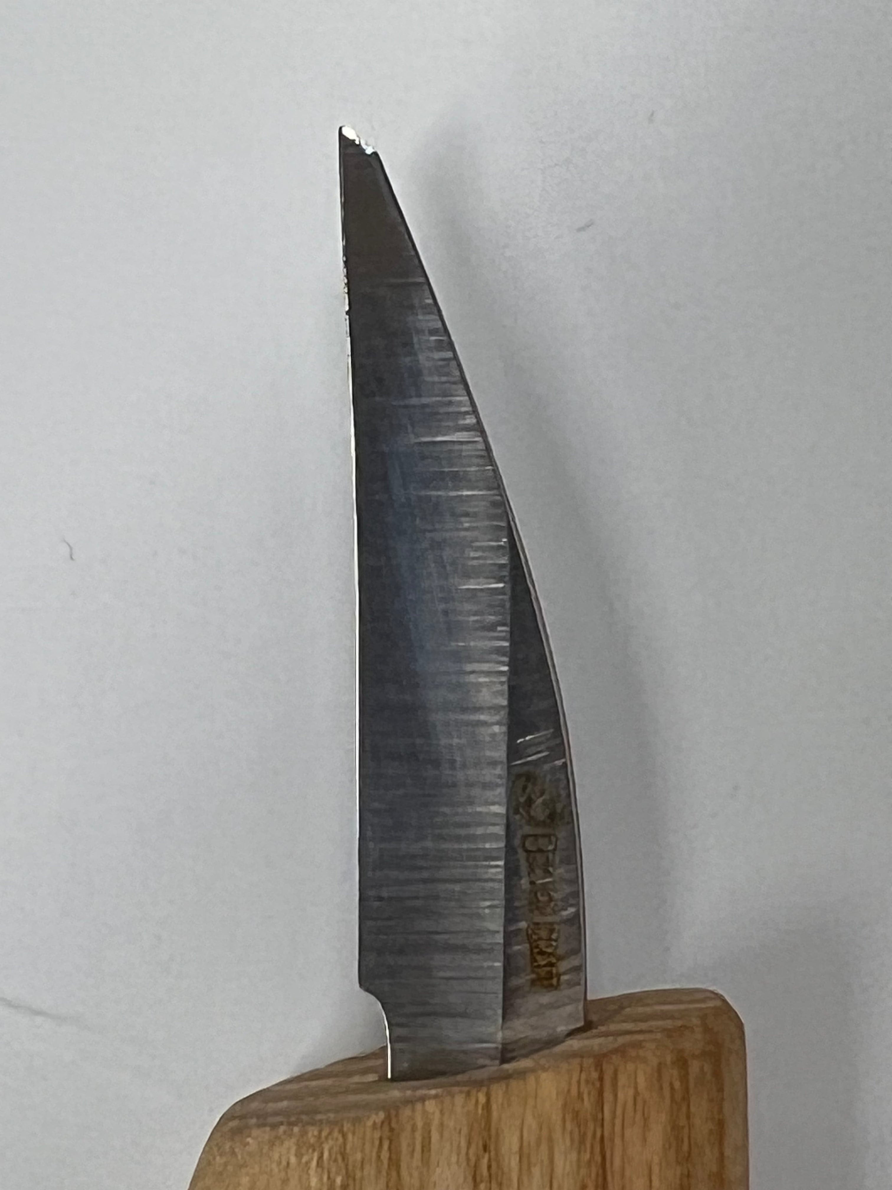 Set di scalpelli per intaglio S52 con 10 scalpelli e portautensili