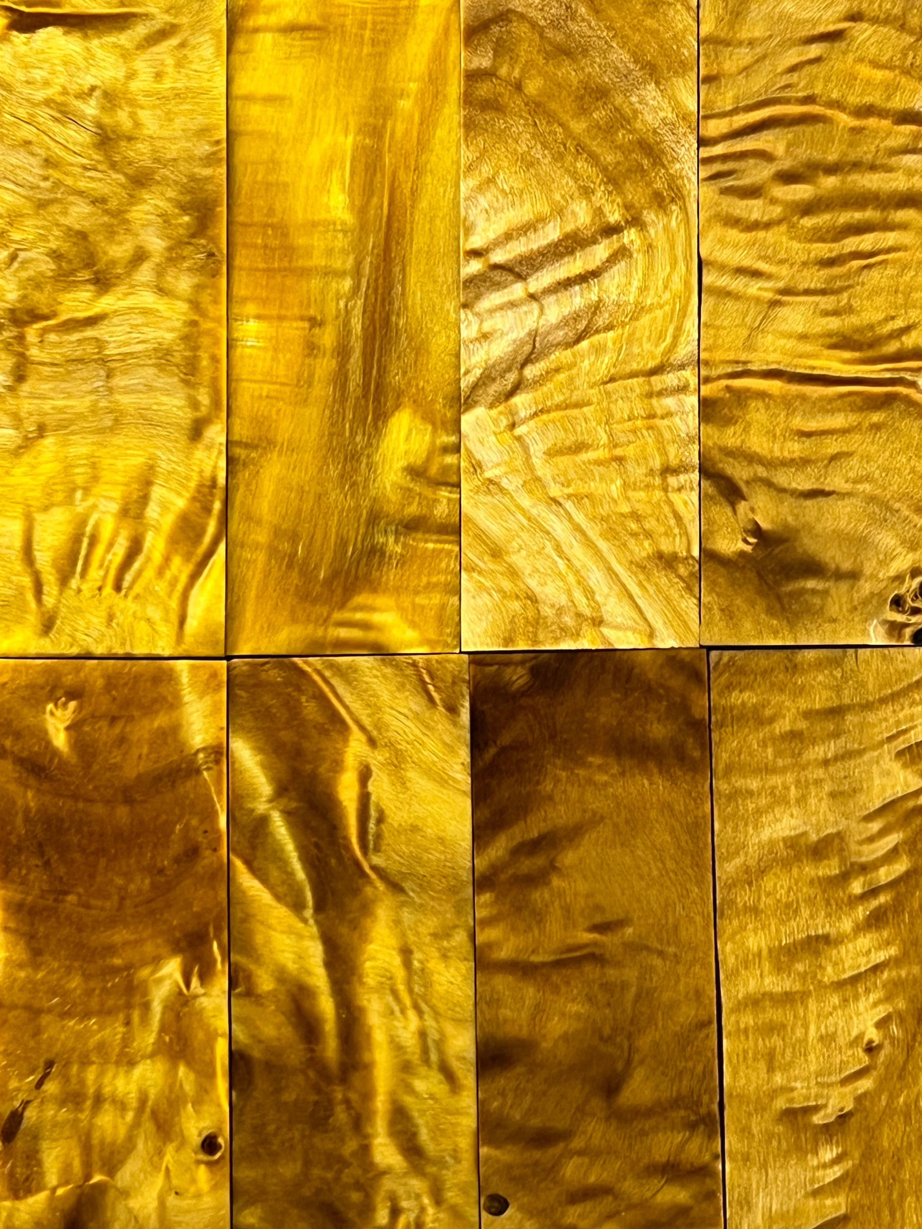 Pioppo tremulo - Giallo