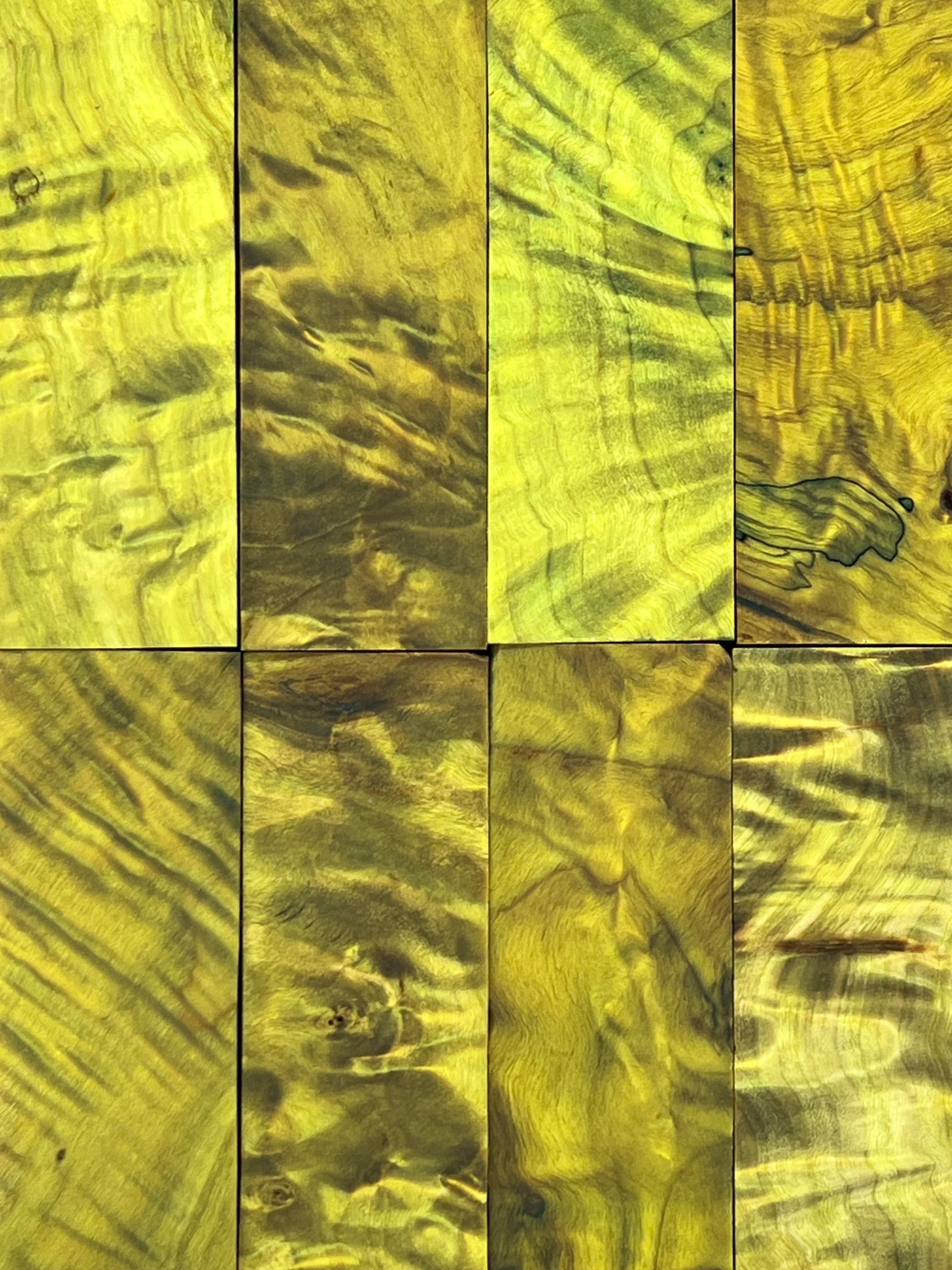 Pioppo tremulo - Lime