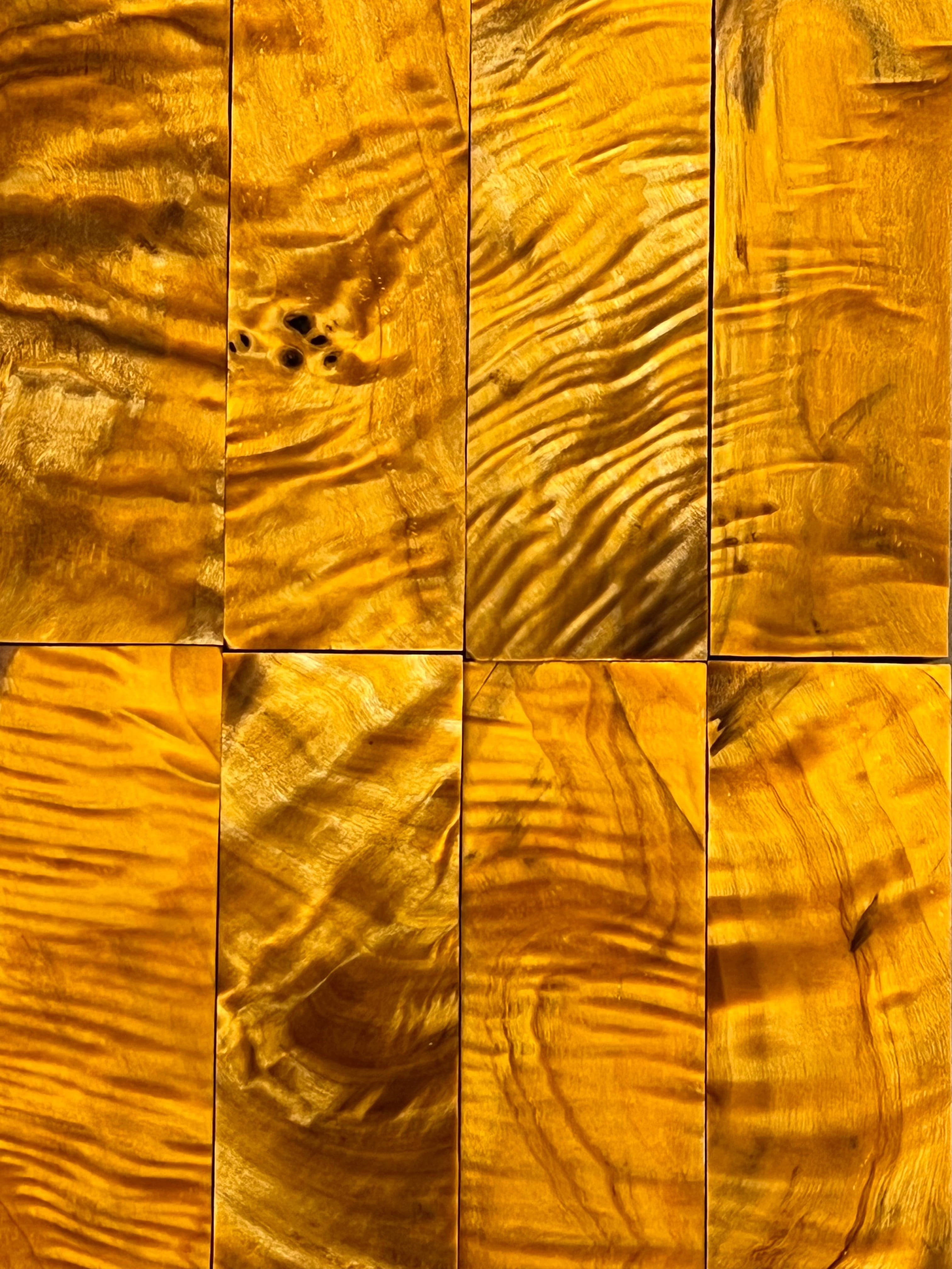 Pioppo tremulo - Arancione