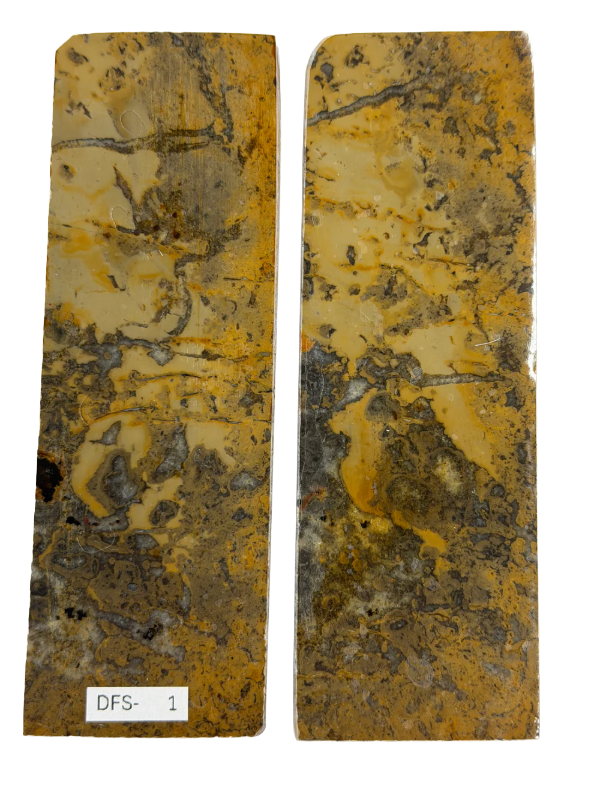 Sett piastre per manico fossile di dinosauro DFS-1
