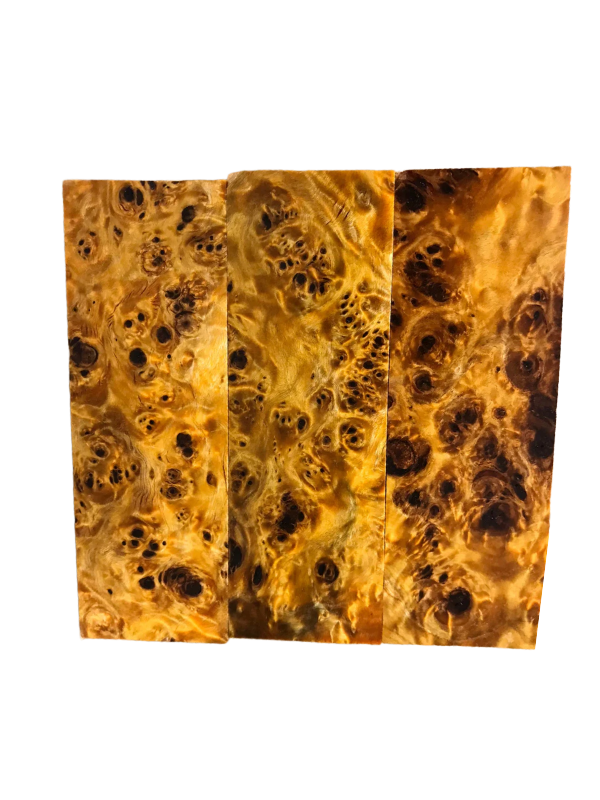 Nodo di pioppo - Arancione