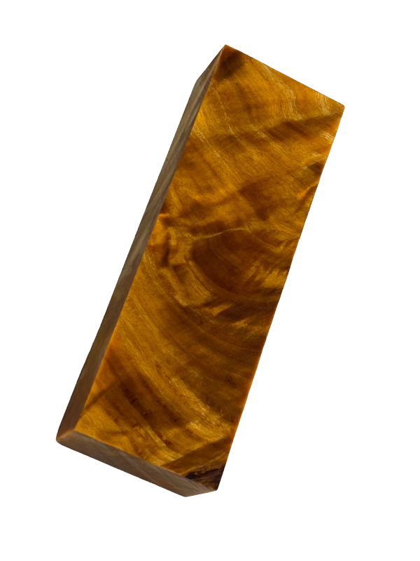 Pioppo tremulo - Arancione