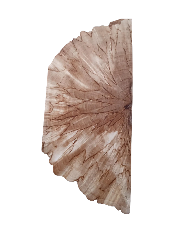 Betulla naturale (Betula pubescens), Betulla mascherata (Masur), taglio trasversale (X-cut), circa 30x40x140mm