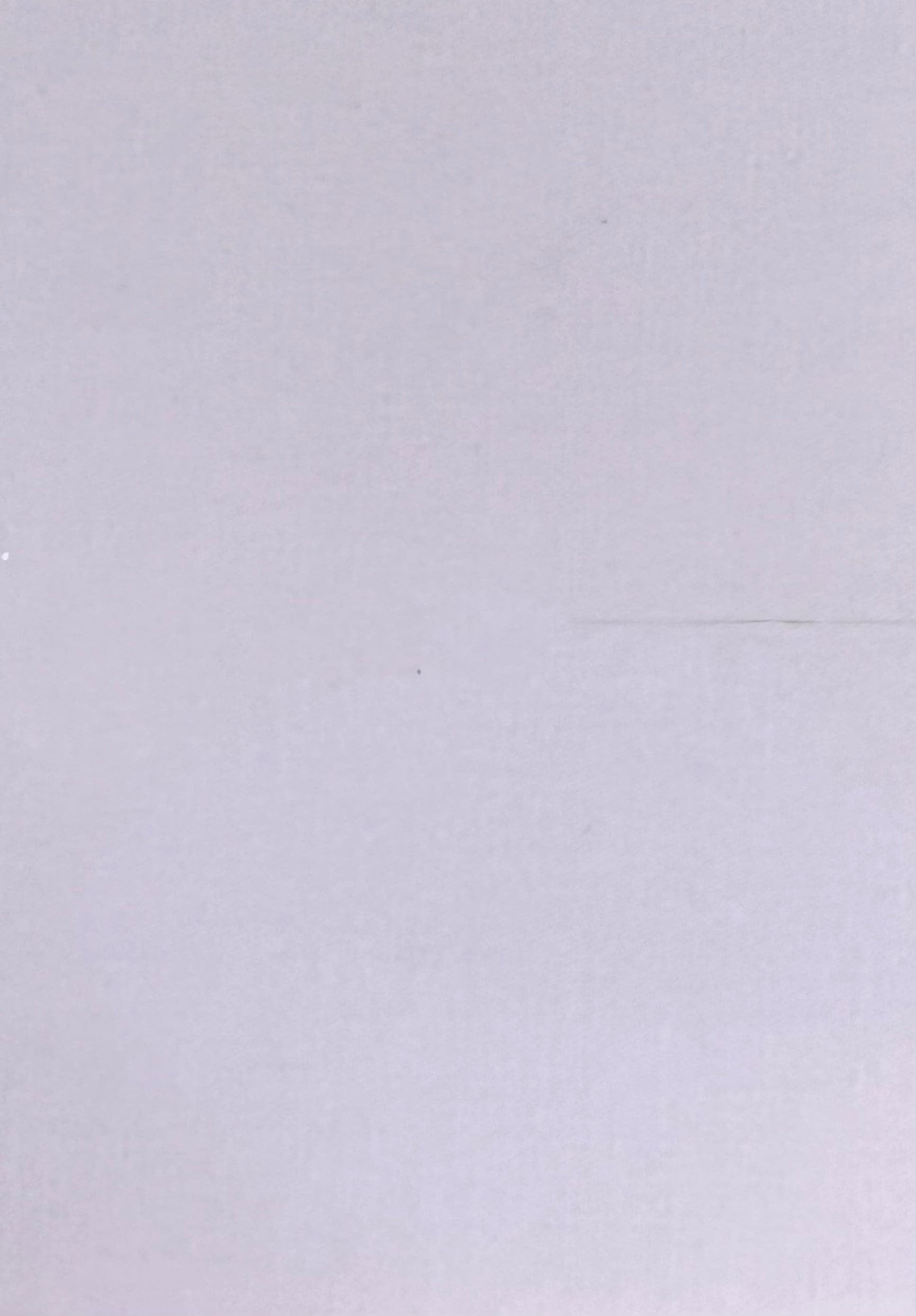 Distanziali in Micarta (spacer/liner da 1 e 2 mm)