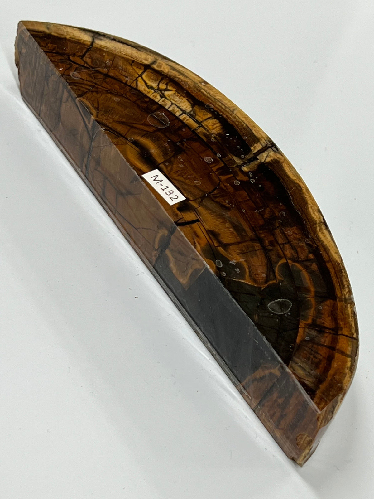 Frammento di zanna di mammut M132
