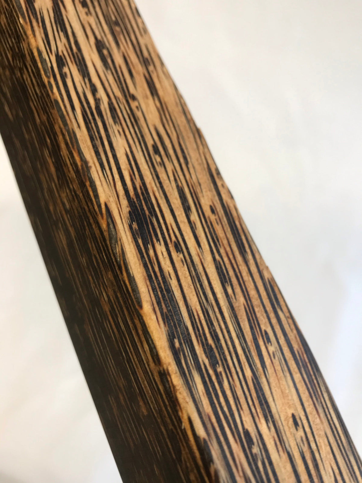 Palma nera 45cm sbozzo per manico