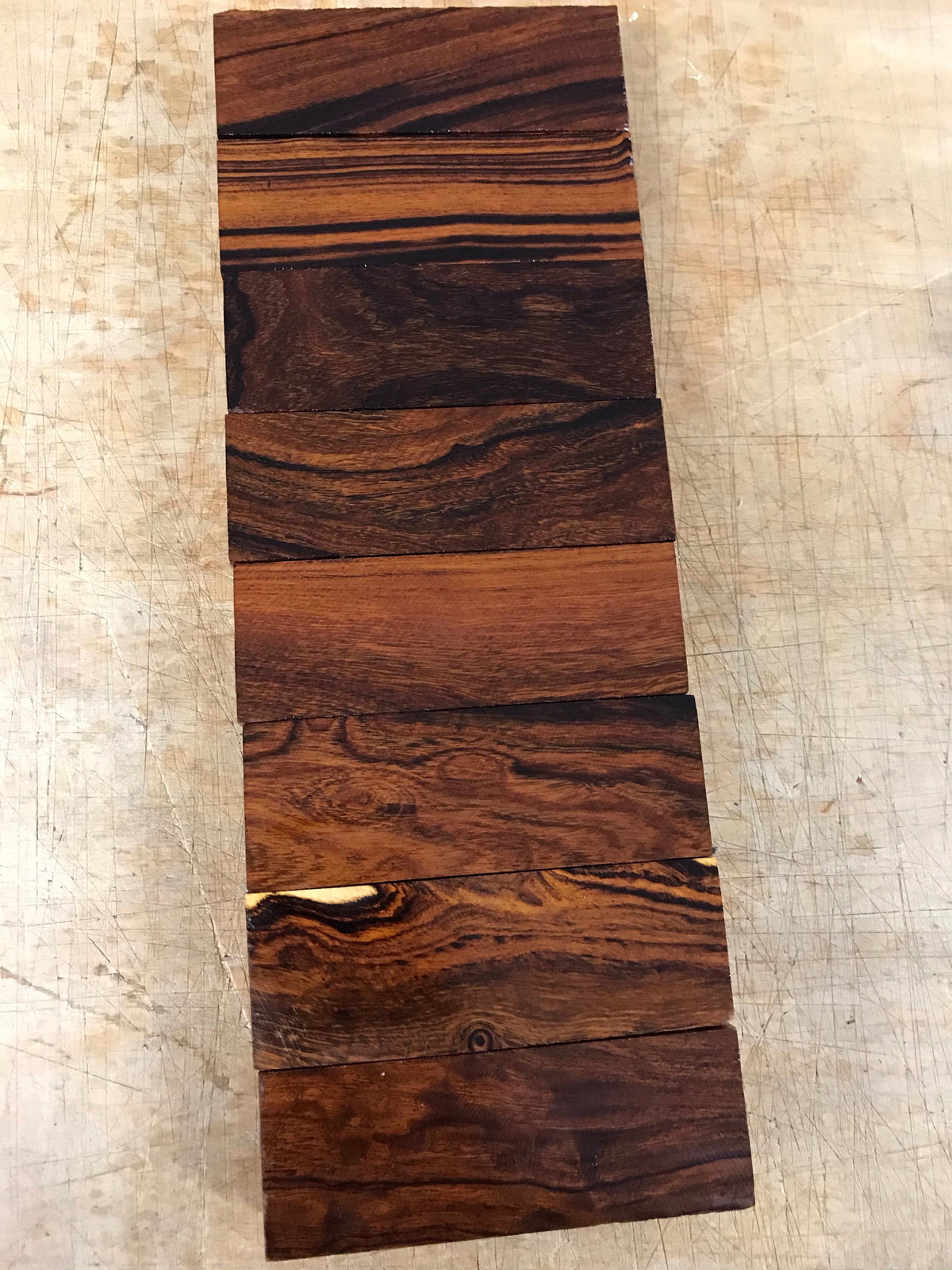 Legno di ferro del deserto
