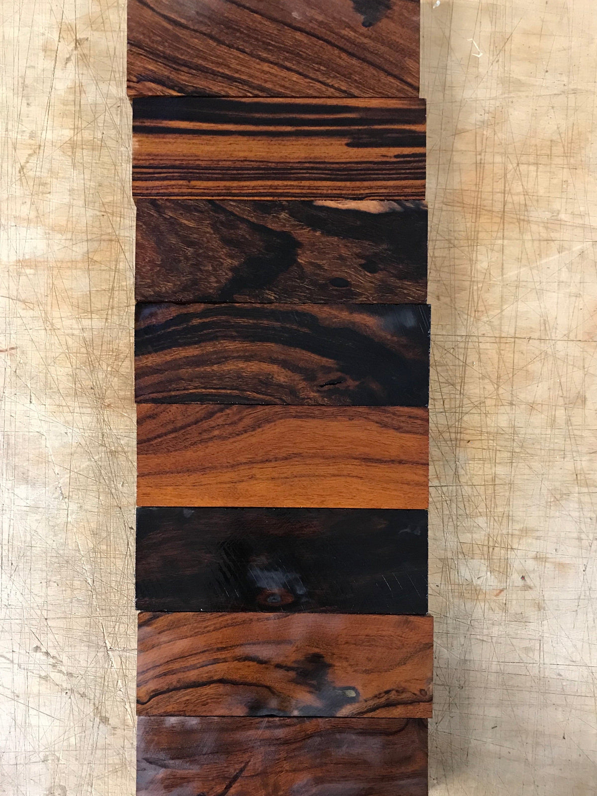 Legno di ferro del deserto