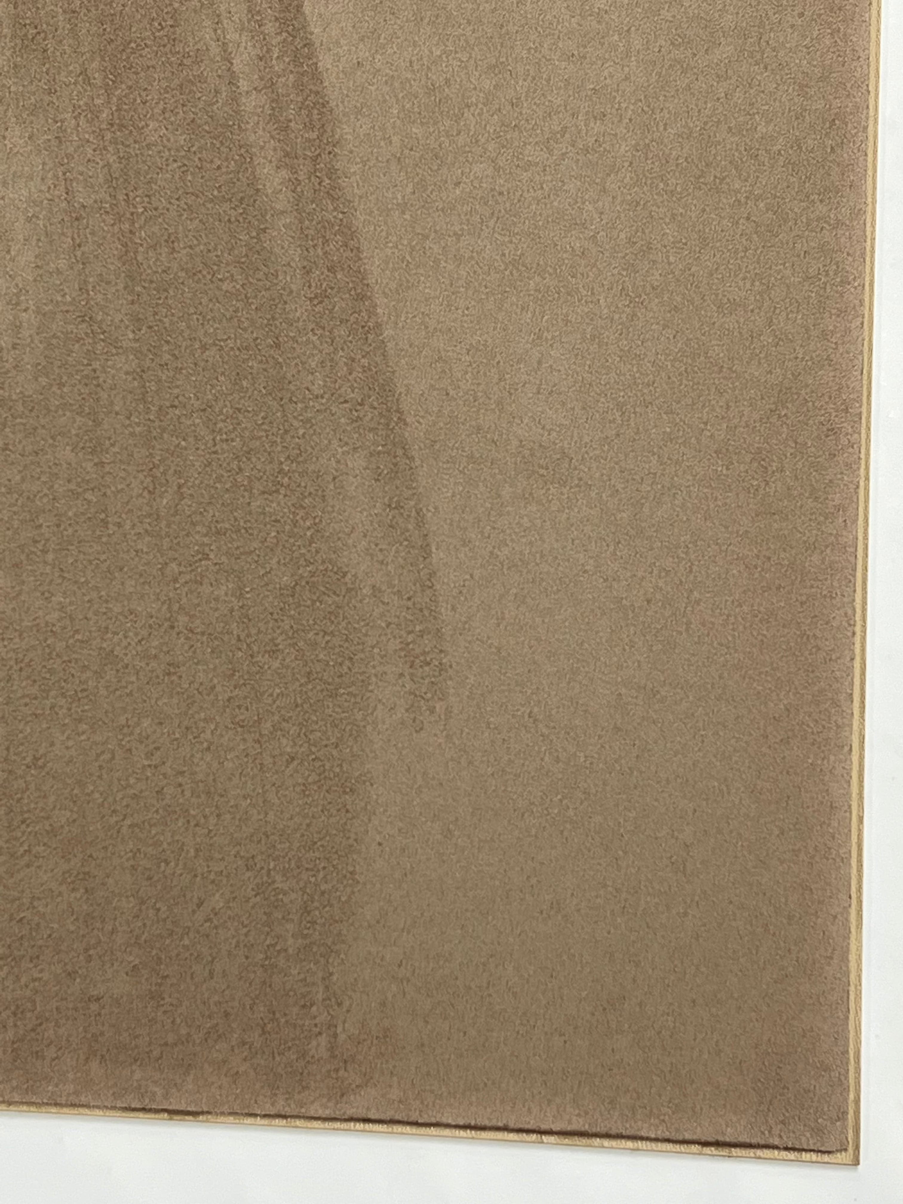 Kydex scamosciato Desert Tan (Beige)