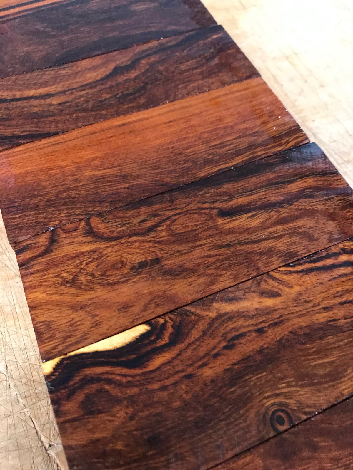 Legno di ferro del deserto