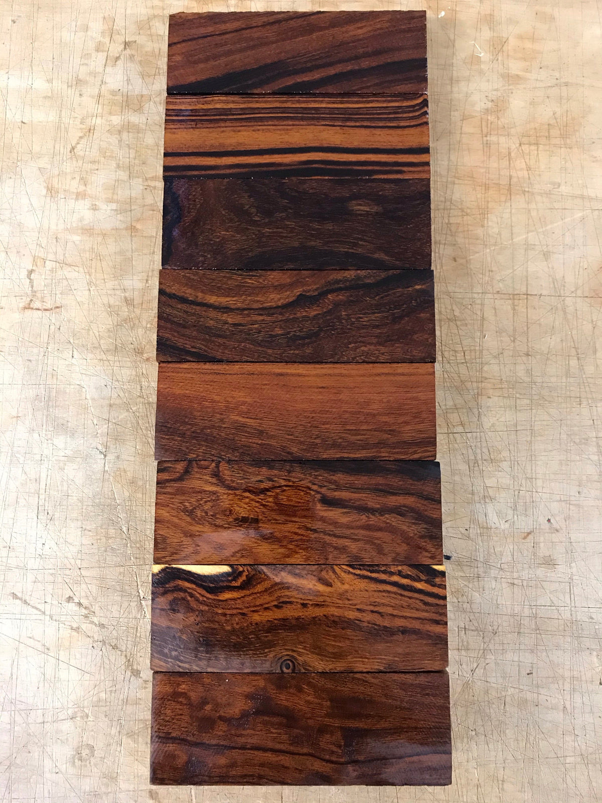 Legno di ferro del deserto