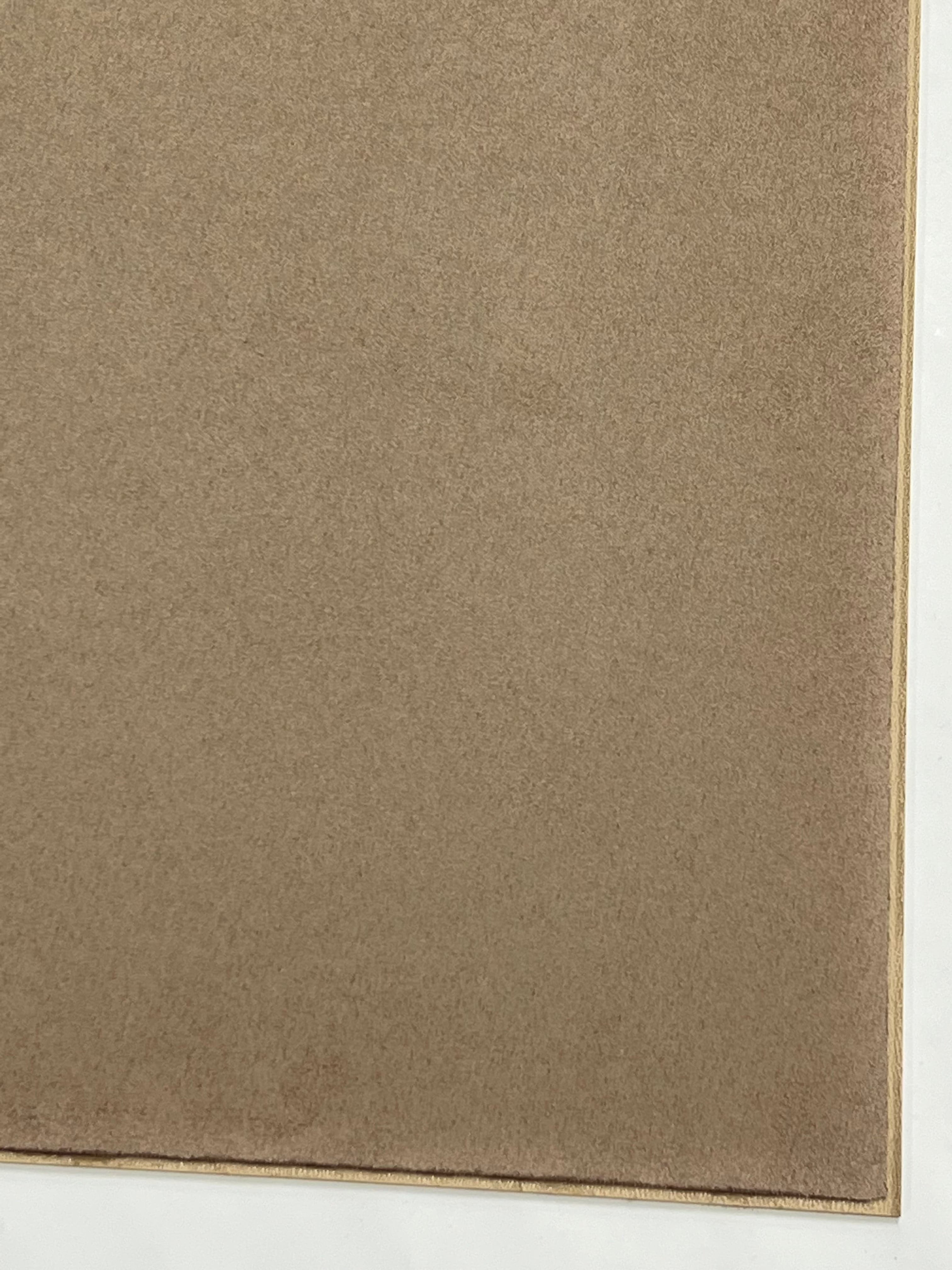 Kydex scamosciato Desert Tan (Beige)
