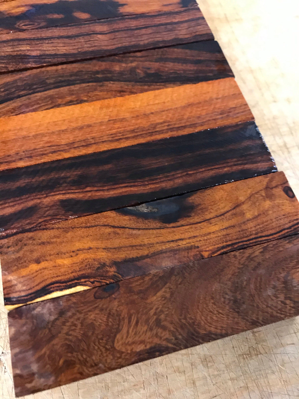 Legno di ferro del deserto